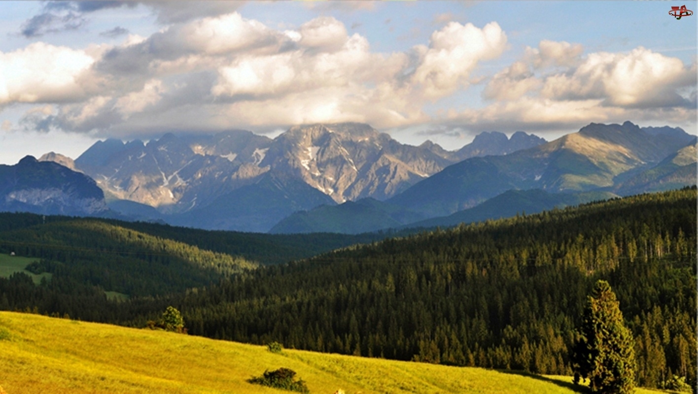 Góry, Bukowina, Tatrzańska