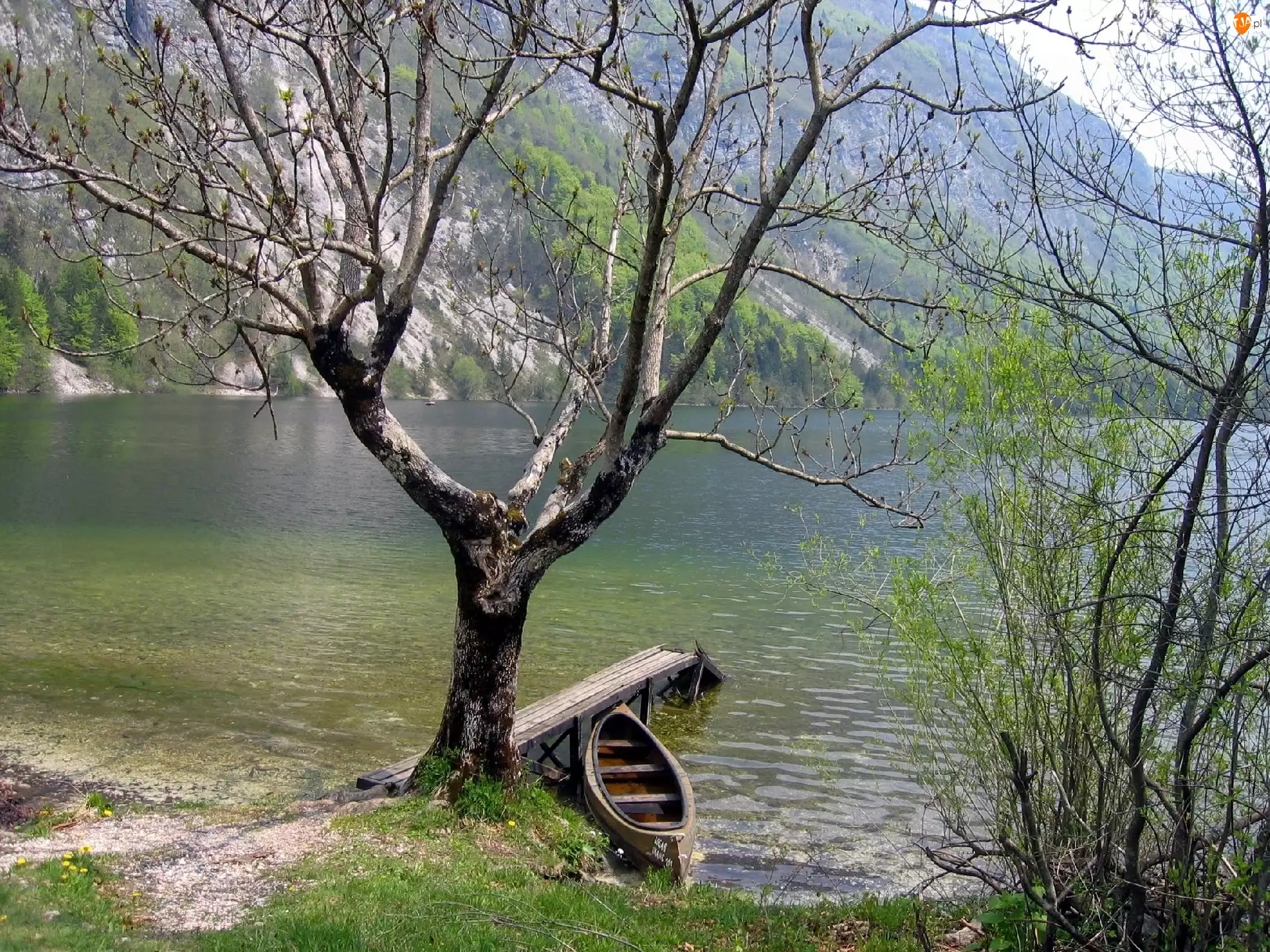 Jezioro, Drzewo, Pomost, Łódka