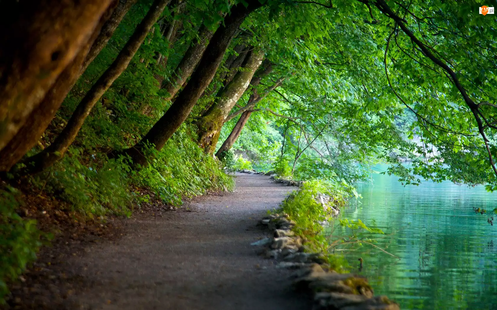Ścieżka, Park Narowodwy Plitwickie, Woda, Drzewa