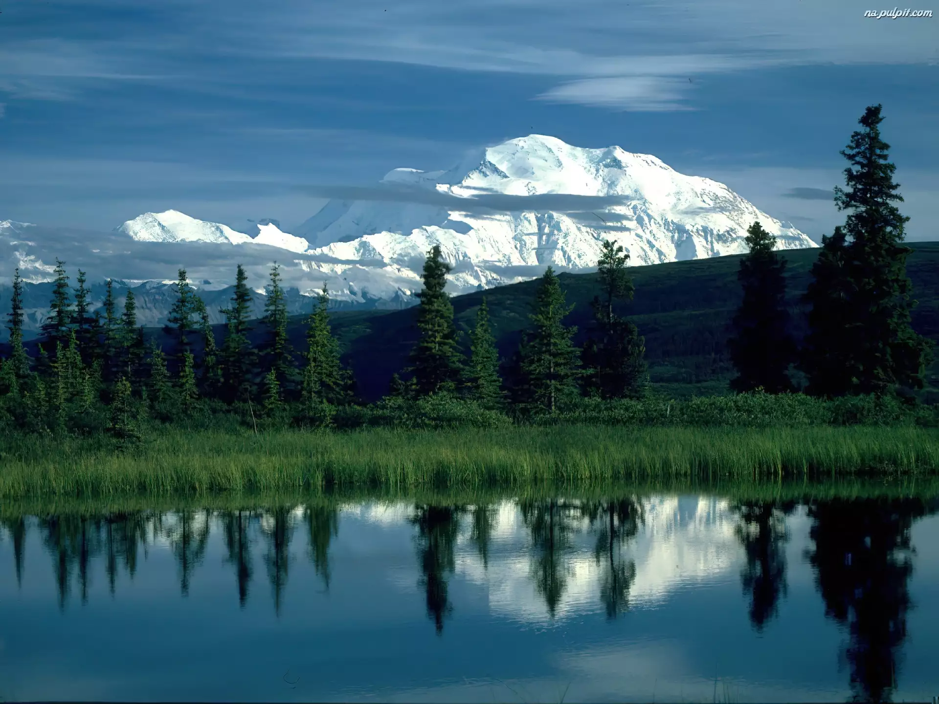 Alaska, Jezioro, Góra, Drzewa, McKinley