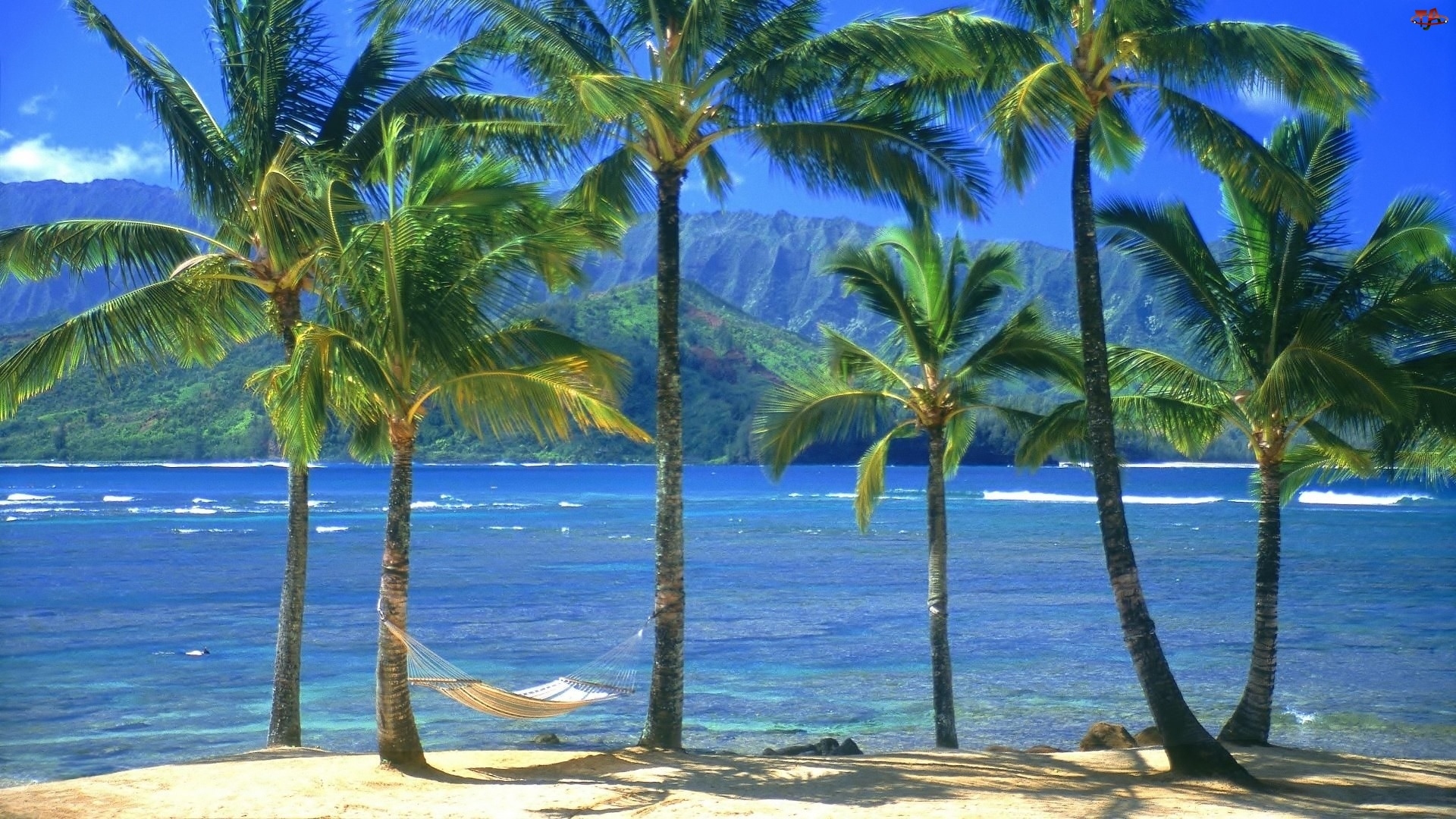 Hamak, Hawaje, Woda, Kauai, Palmy