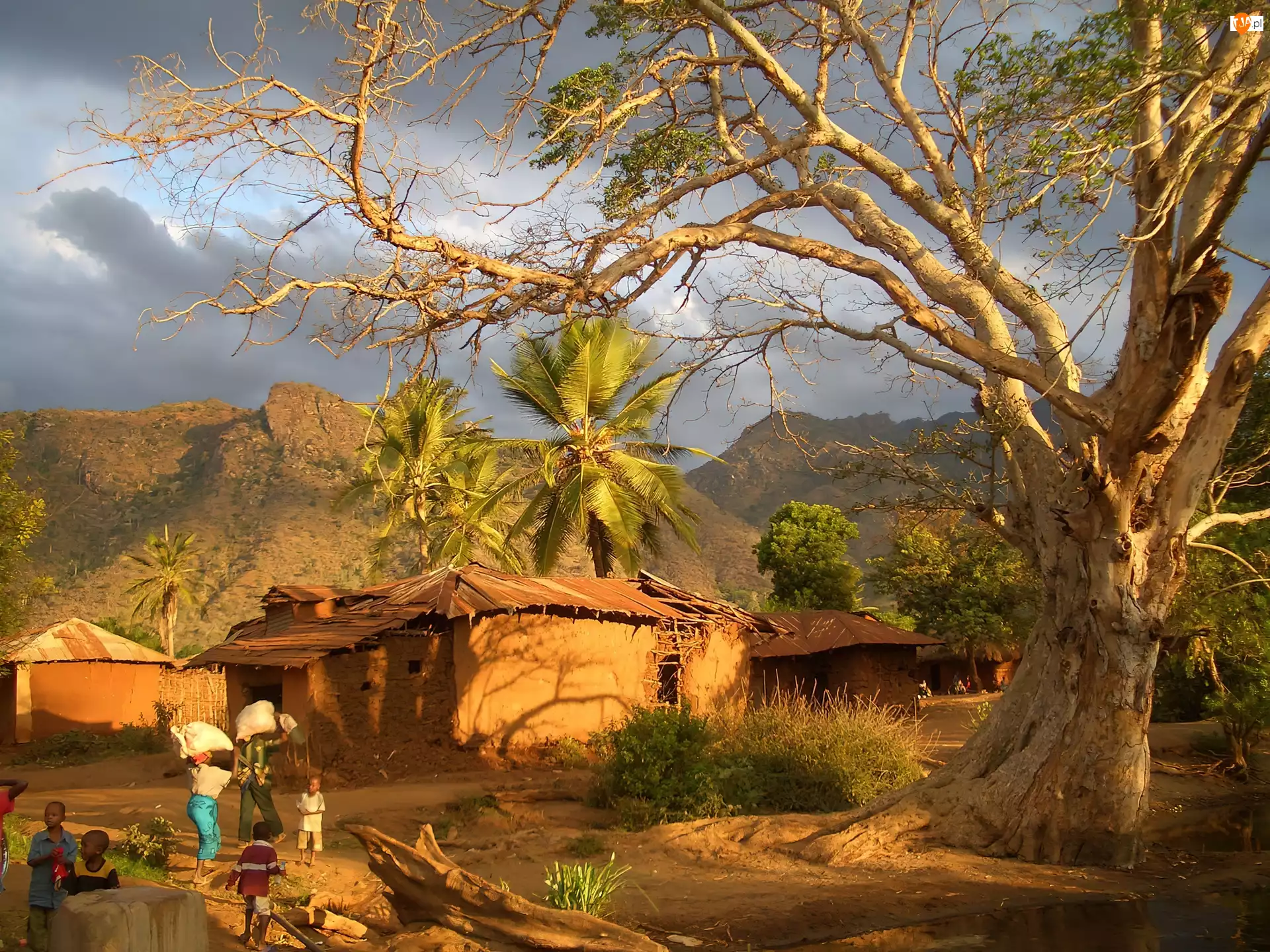 Drzewo, Tanzania, Wioska, Góry, Mieszkańcy