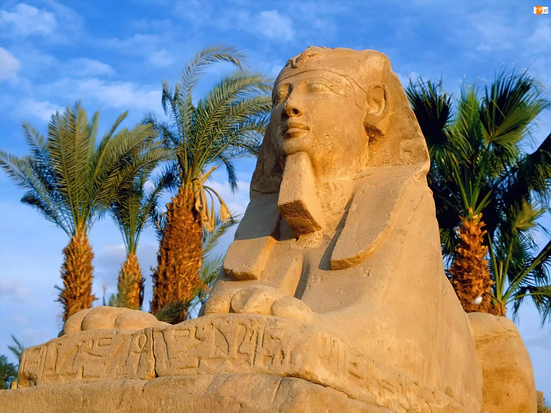 Sfinksów, Egipt, Luksor, Aleja