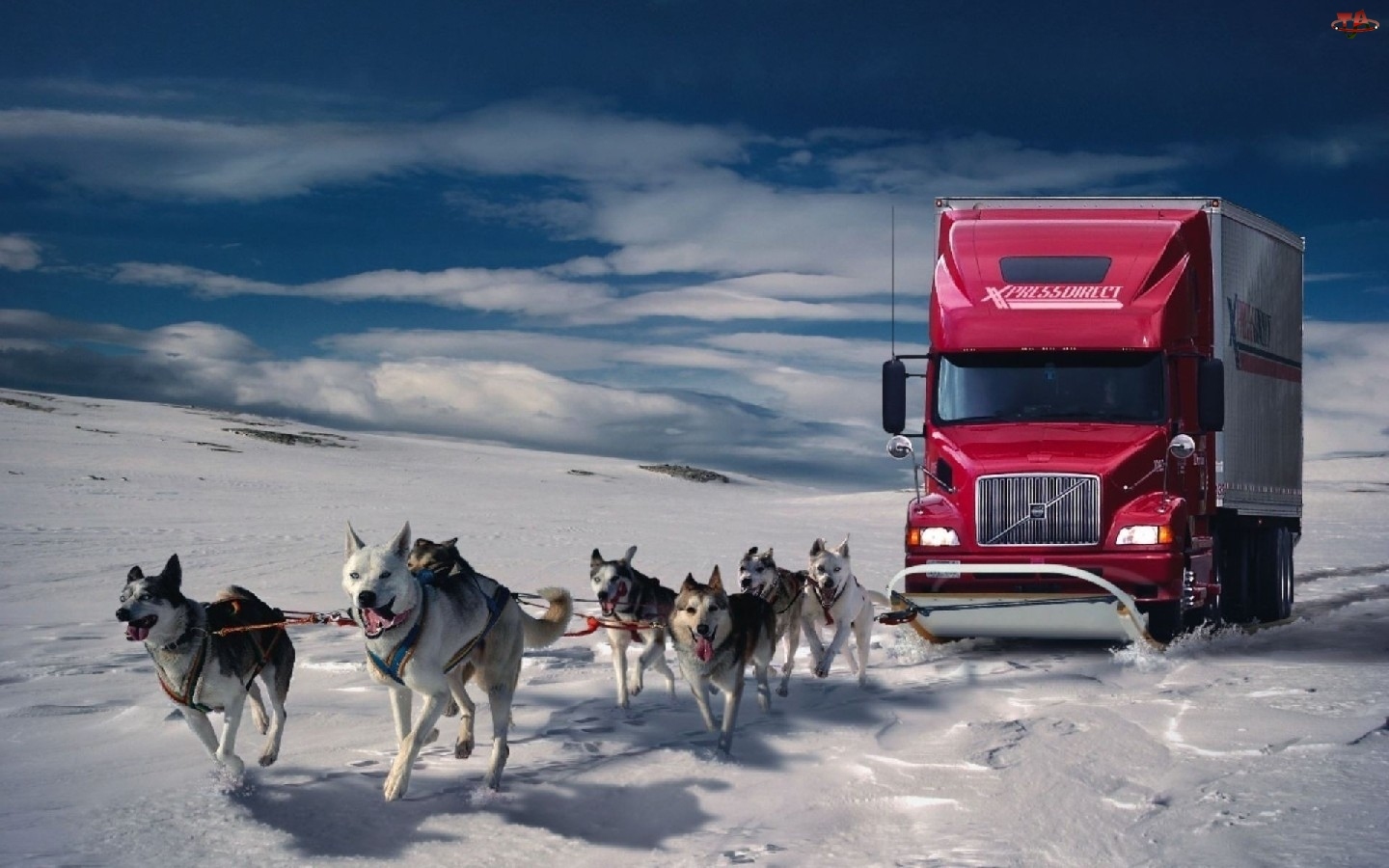 Ciężarówka, Psy, Zaprzęg, Śnieg
