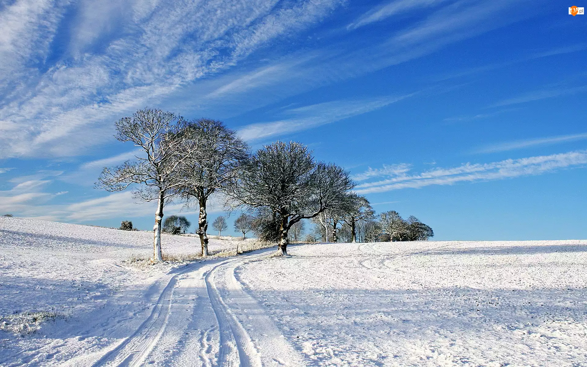 Nieboo, Śnieg, Drzewa, Droga, Błękitne