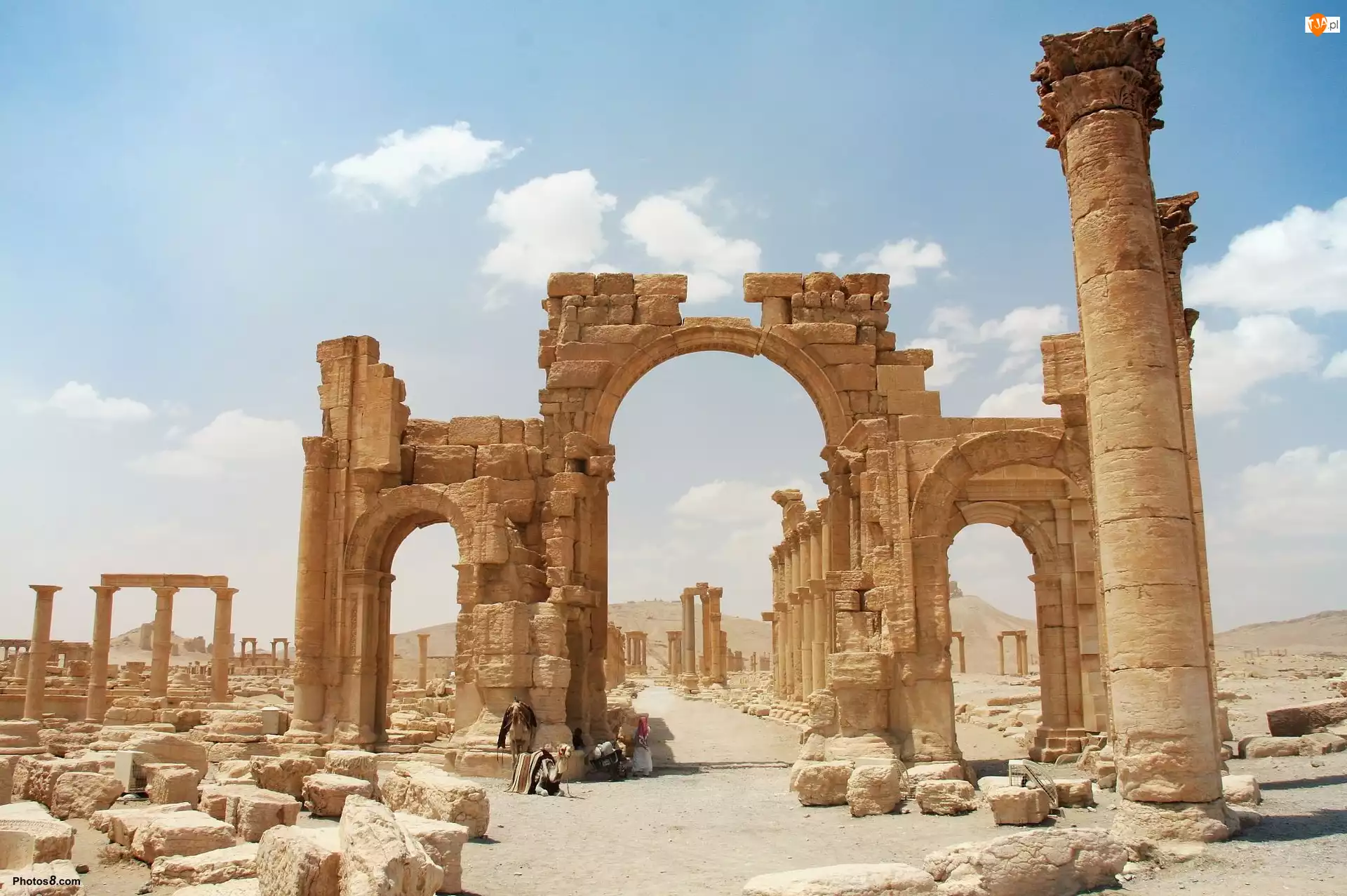 Syria, Ruiny, Palmyra
