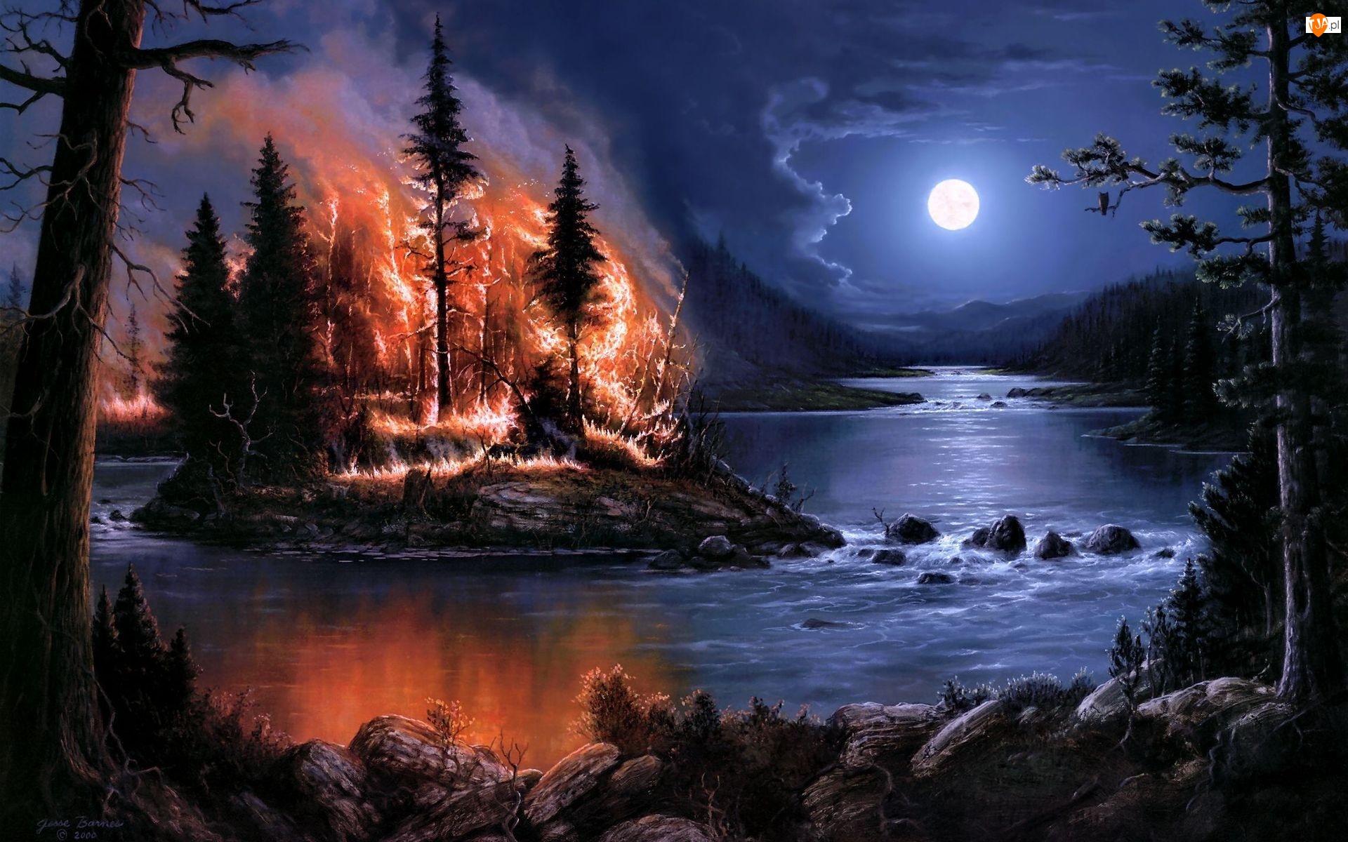 Las, Noc, Ogień, Drzewa, Rzeka, Księżyc