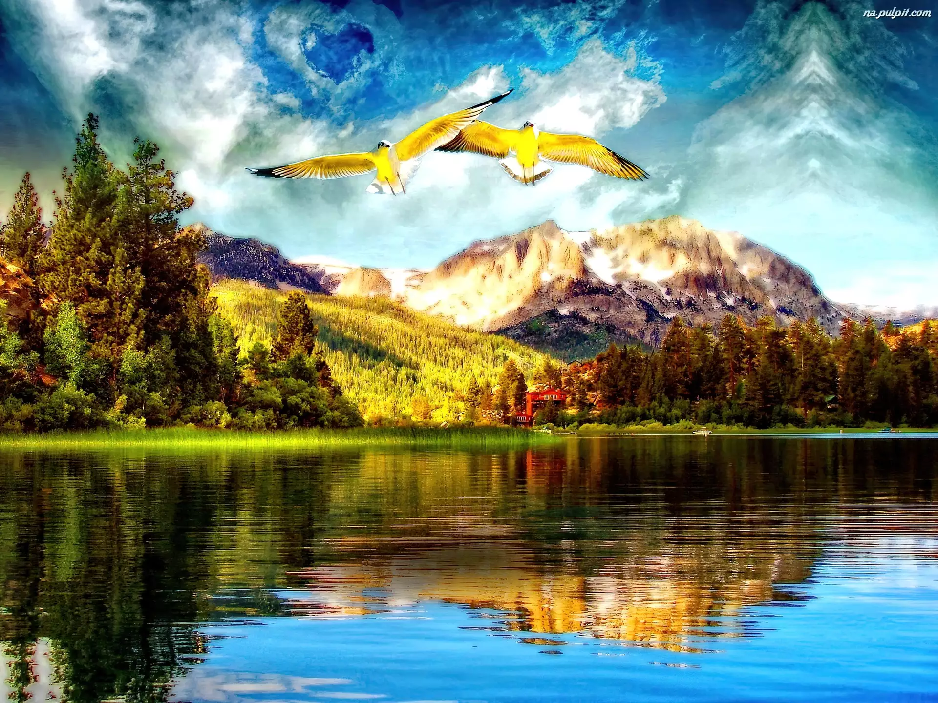 Ptaki, Góry, Jezioro