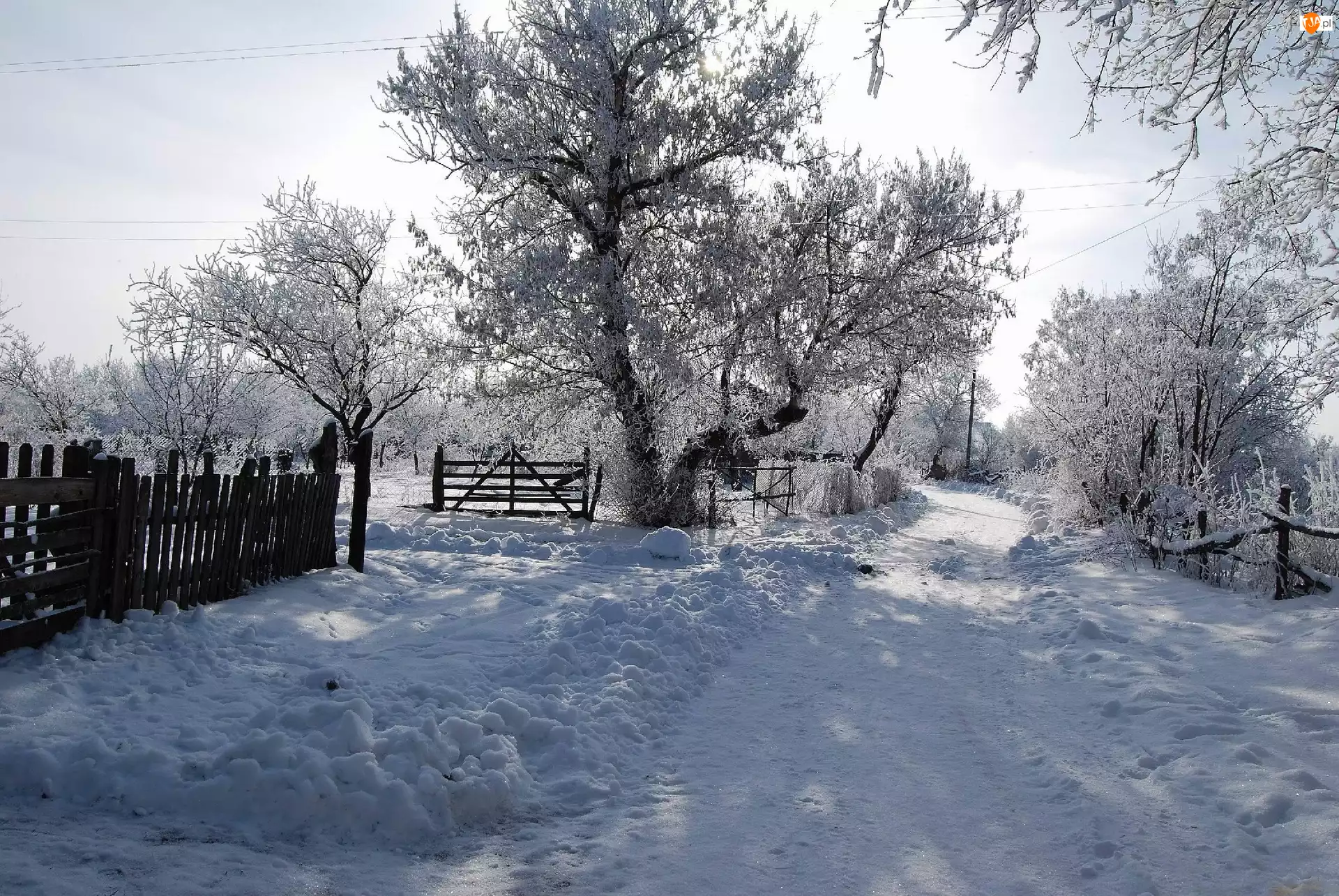 Śnieg, Stare, Droga, Ogrodzenia, Drzewa