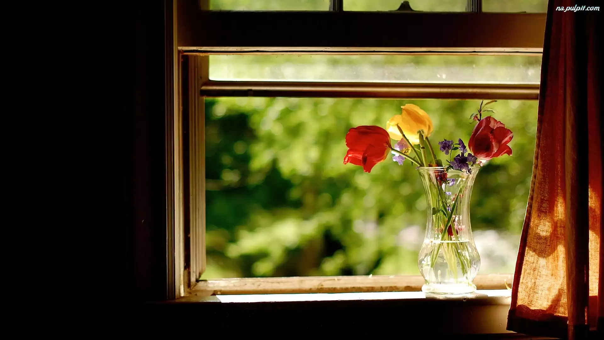 Okno, Tulipany, Wazon