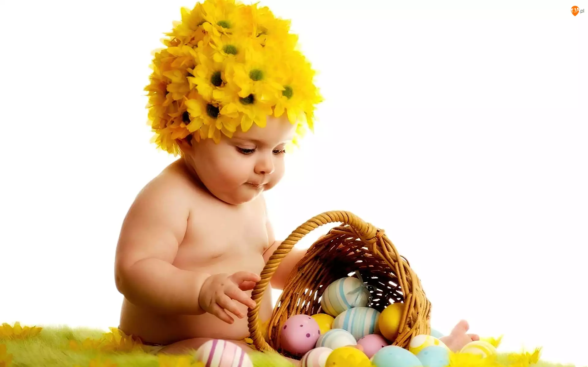 Jajka, Dziecko, Koszyk, Kwiaty