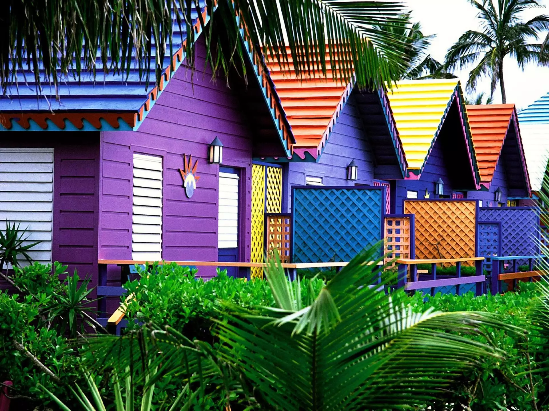 Domki, Malediwy, Kolorowe
