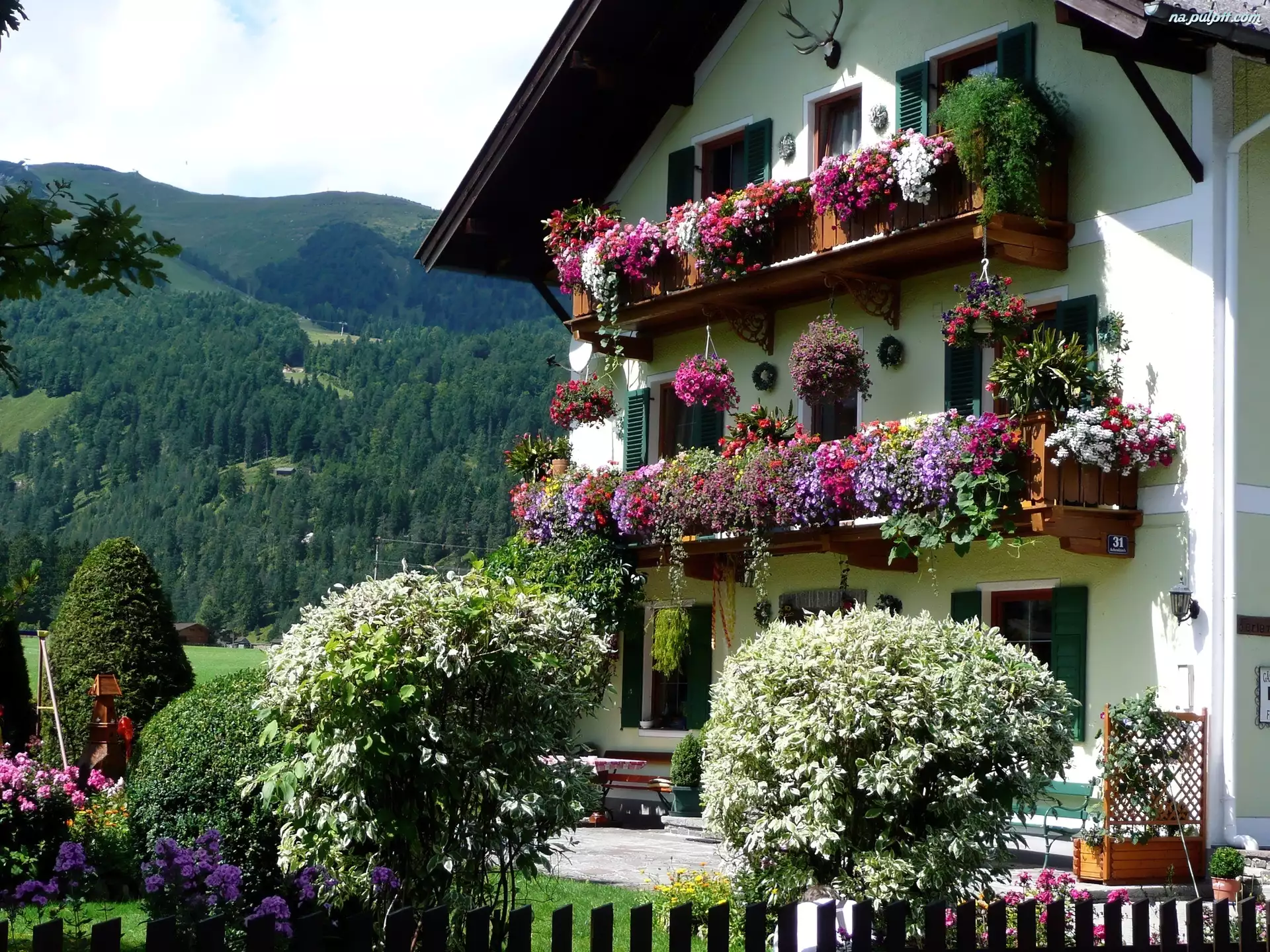 Dom, Austria, Góry, Ogród