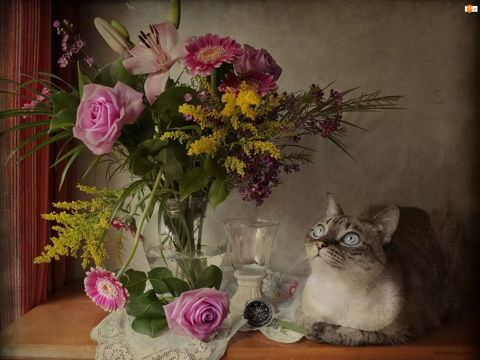 Kwiatów, Kot, Bukiet
