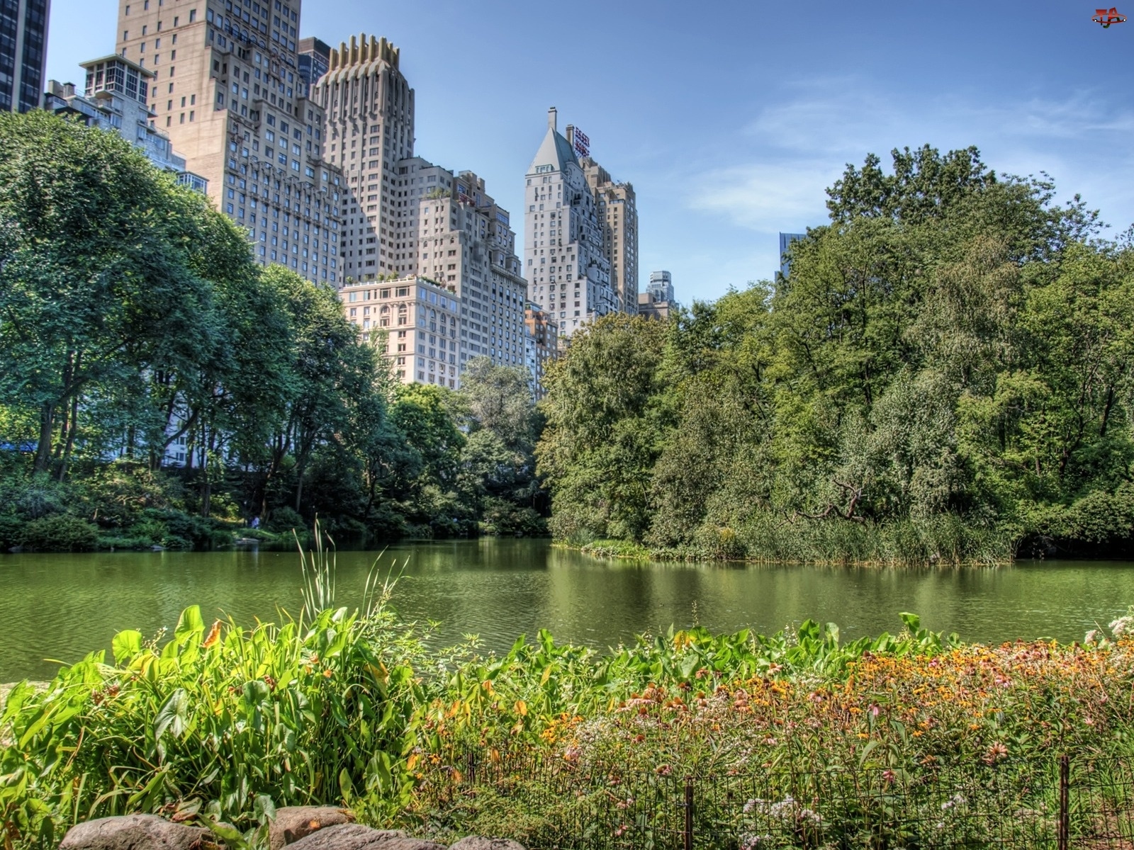 Central Park, Rzeka, Nowy Jork, Wieżowce