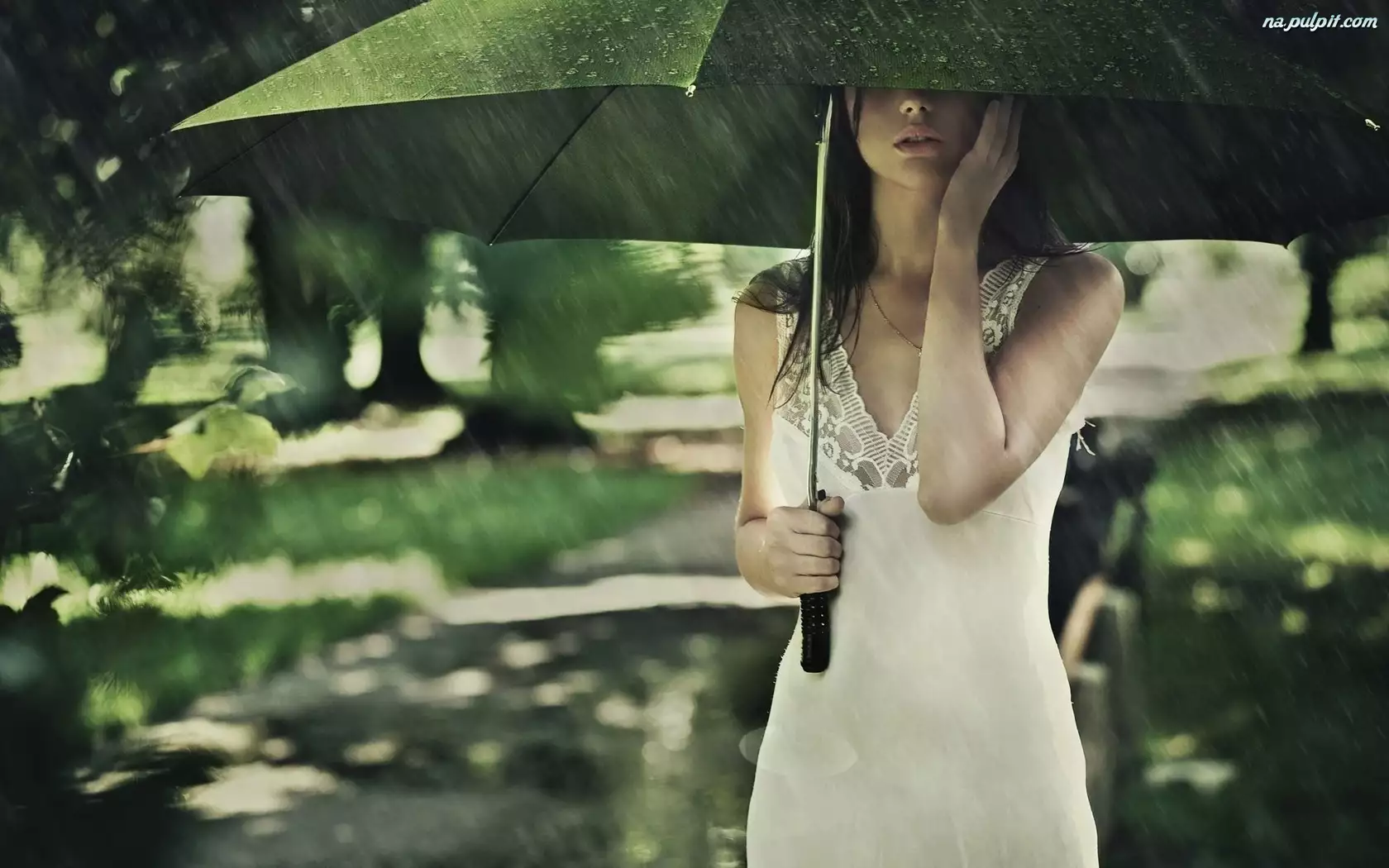 Deszcz, Parasol, Dziewczyna
