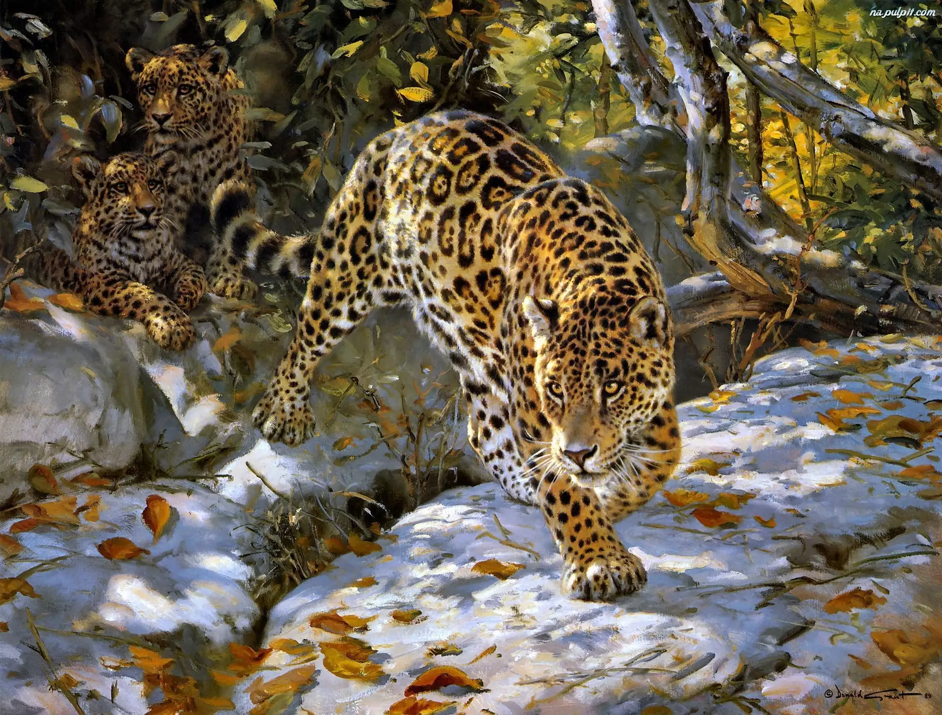 Drzewa, Jaguar, Śnieg, Art