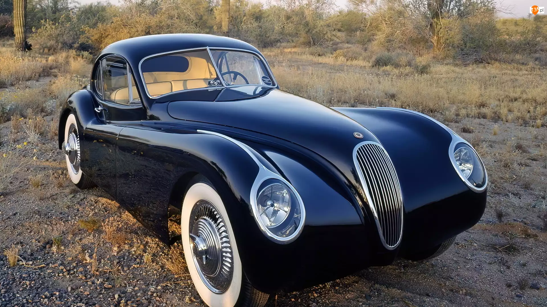 Klasyk, Jaguar, 1953