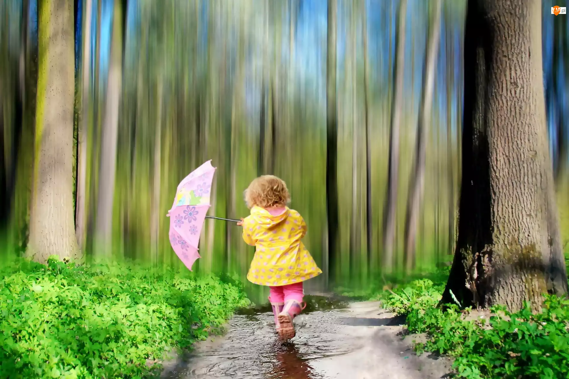 Trawa, Dziecko, Drzewa, Parasol