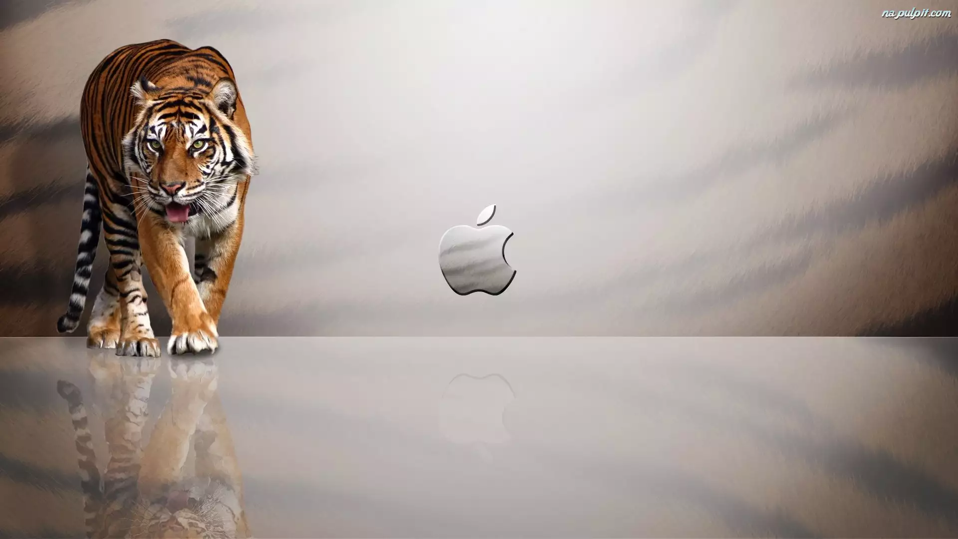 Apple, Tygrys, Logo