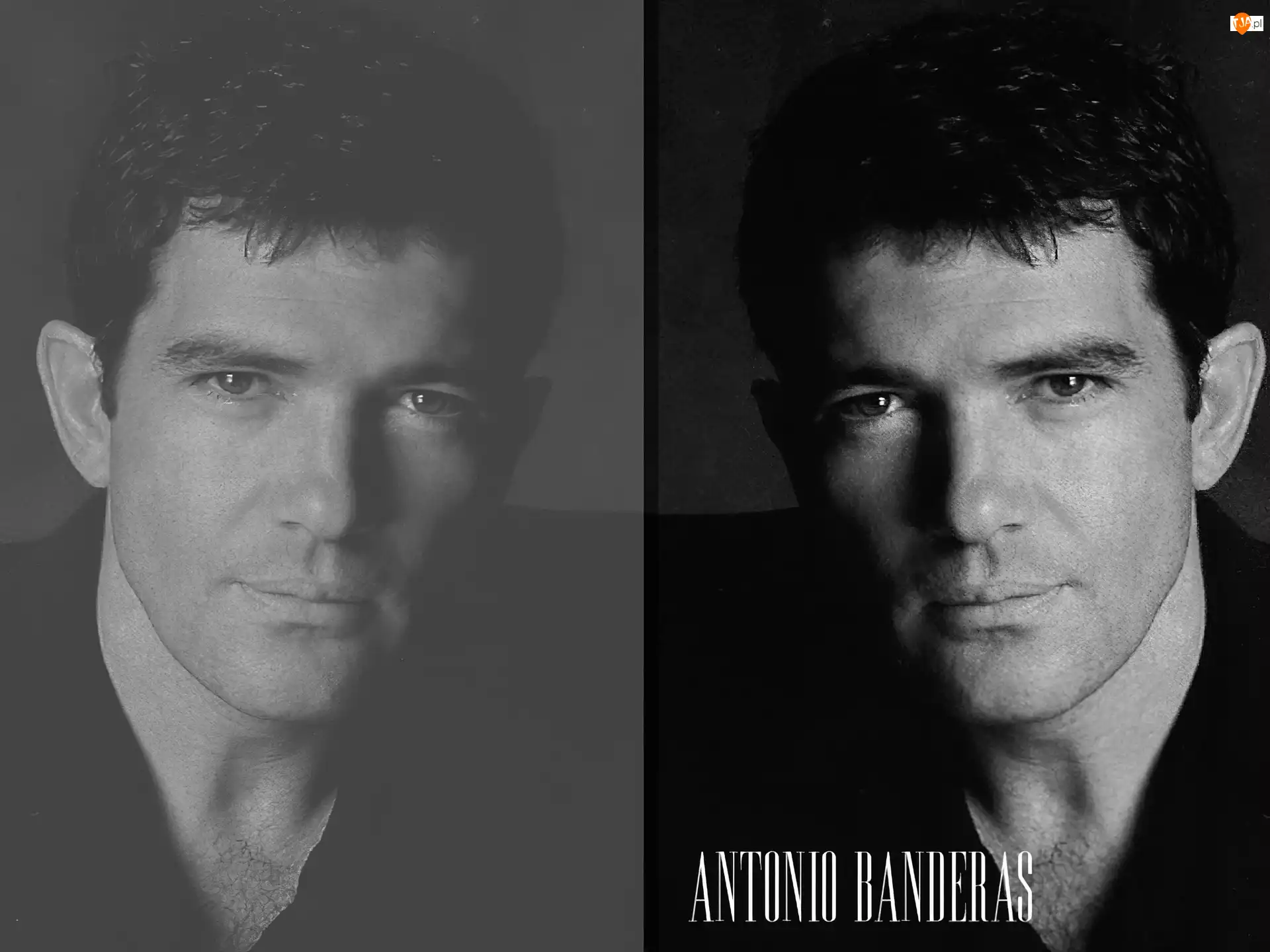 włosy, Antonio Banderas, krótkie