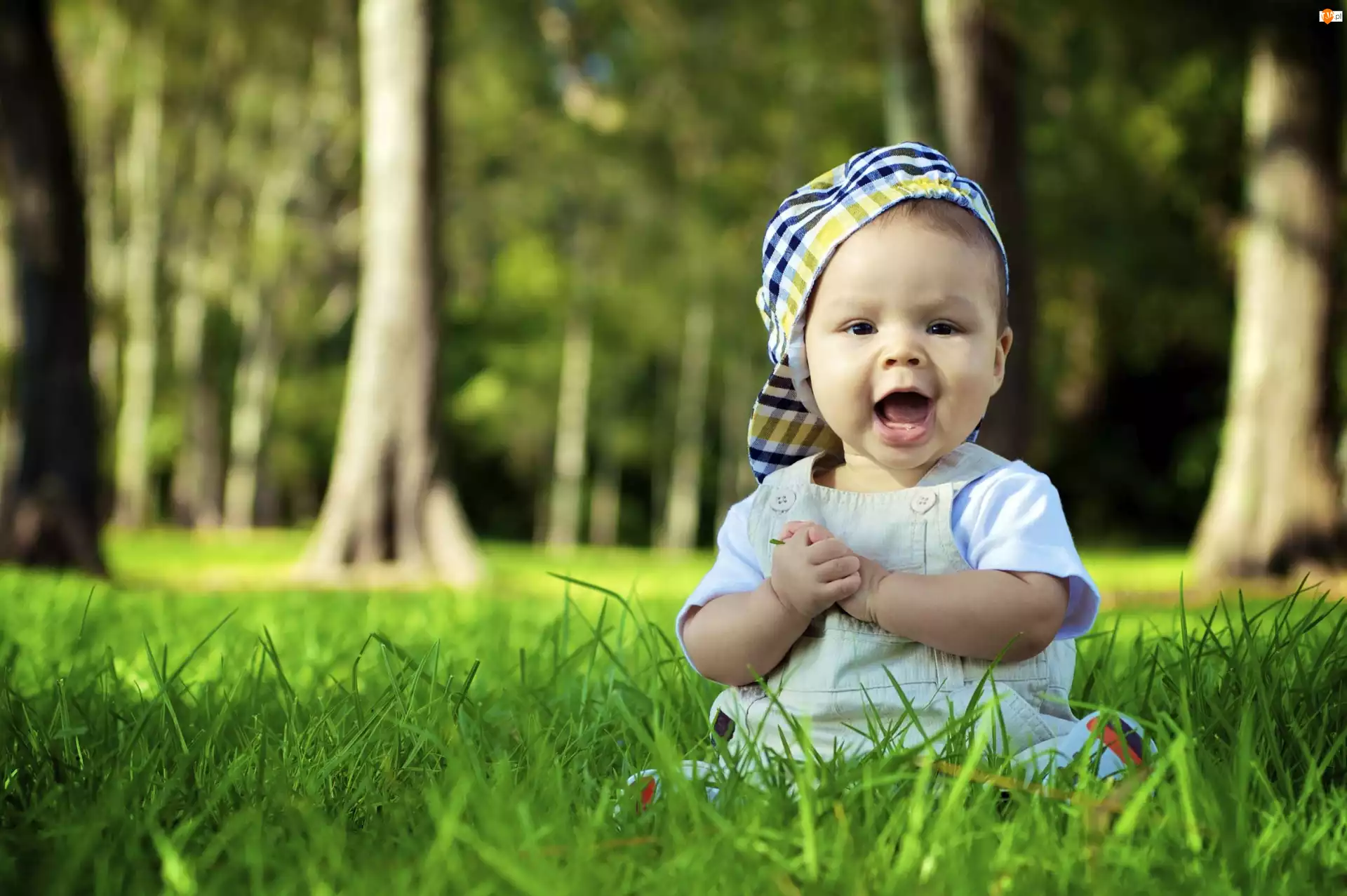 Natural babies. Малыш на траве. Малыш на травке. Счастливый мальчик. Трава фото для детей.