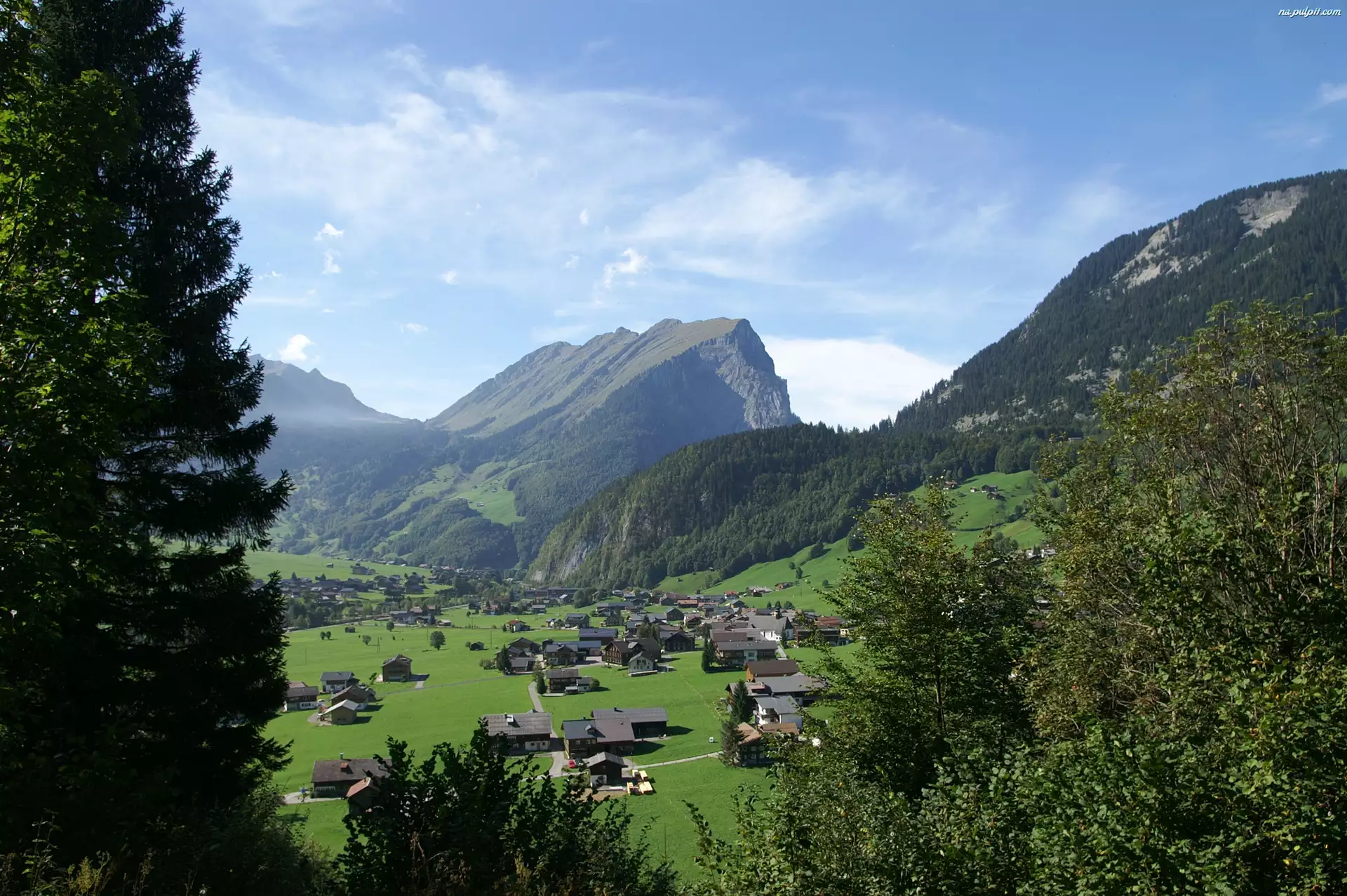 Austria, Kanisfluh, Dolina, Drzewa, Góry, Domy