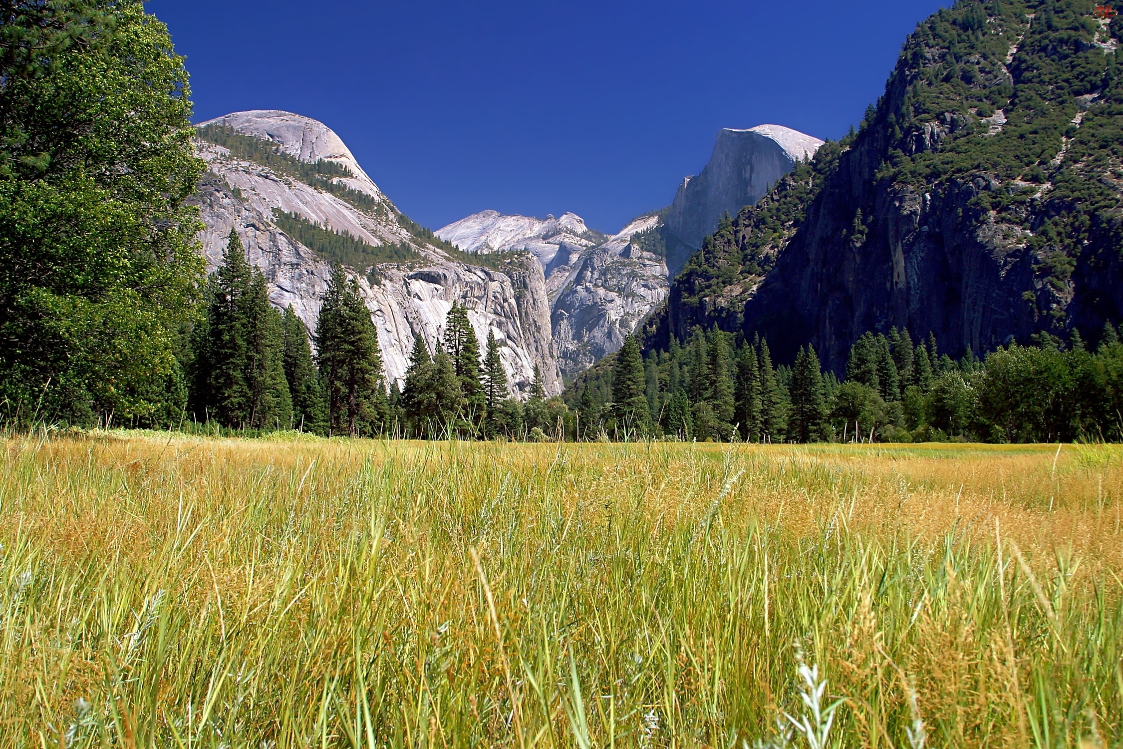 Góry, Stany Zjednoczone, Stan Kalifornia, Park Narodowy Yosemite