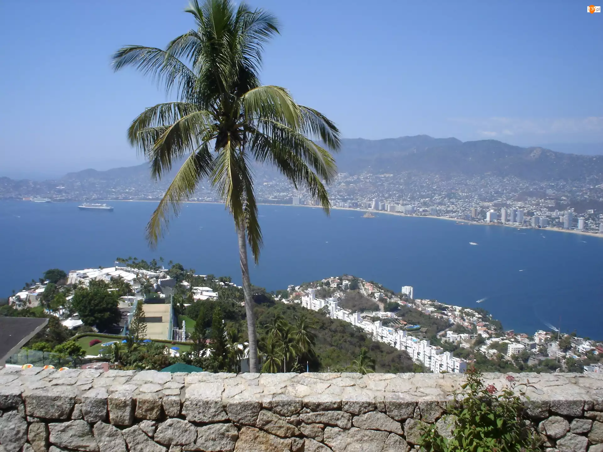 Woda, Acapulco, Meksyk, Palma
