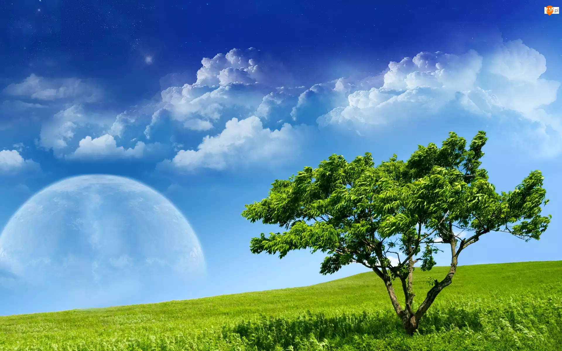 Planeta, Łąka, Drzewo, Chmury