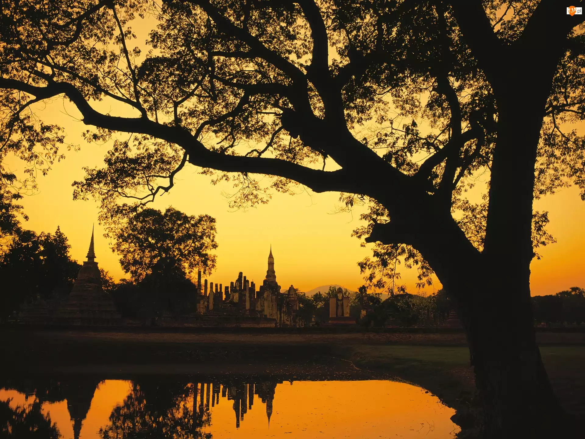 Jezioro, Kambodża, Budowle, Drzewo