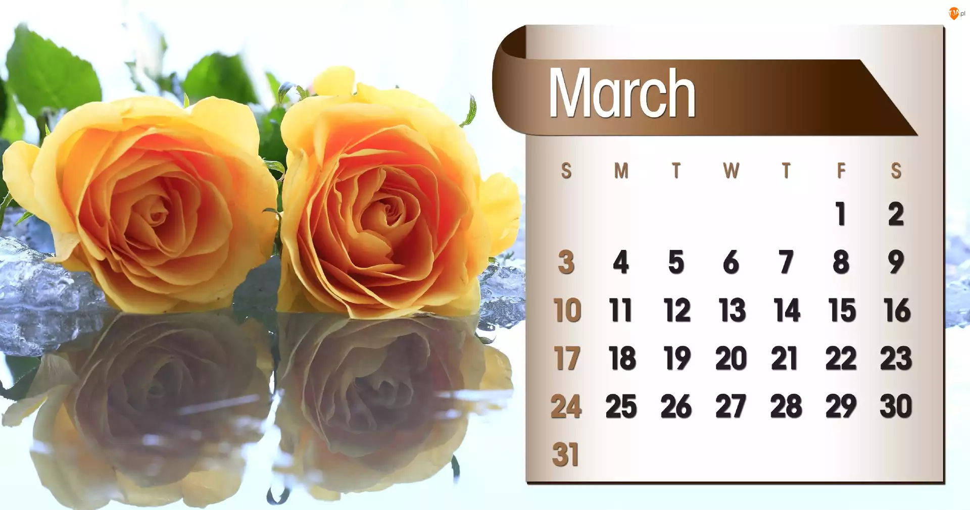 2013r, Kalendarz, Róże, Marzec
