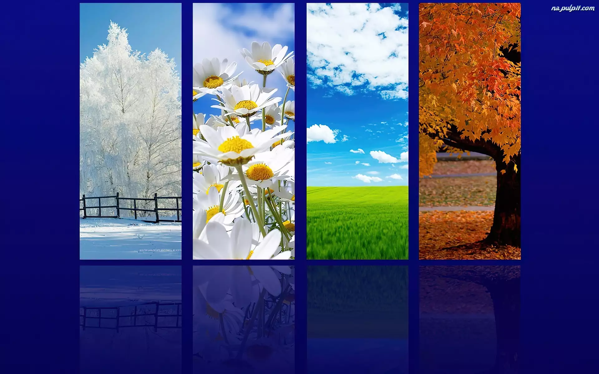 Zima, Jesień, Wiosna, Lato