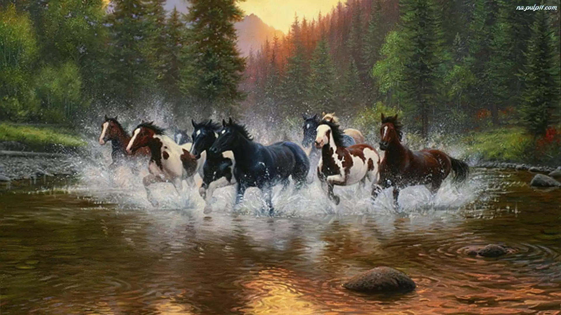 Konie, Galop, Rzeka, Las