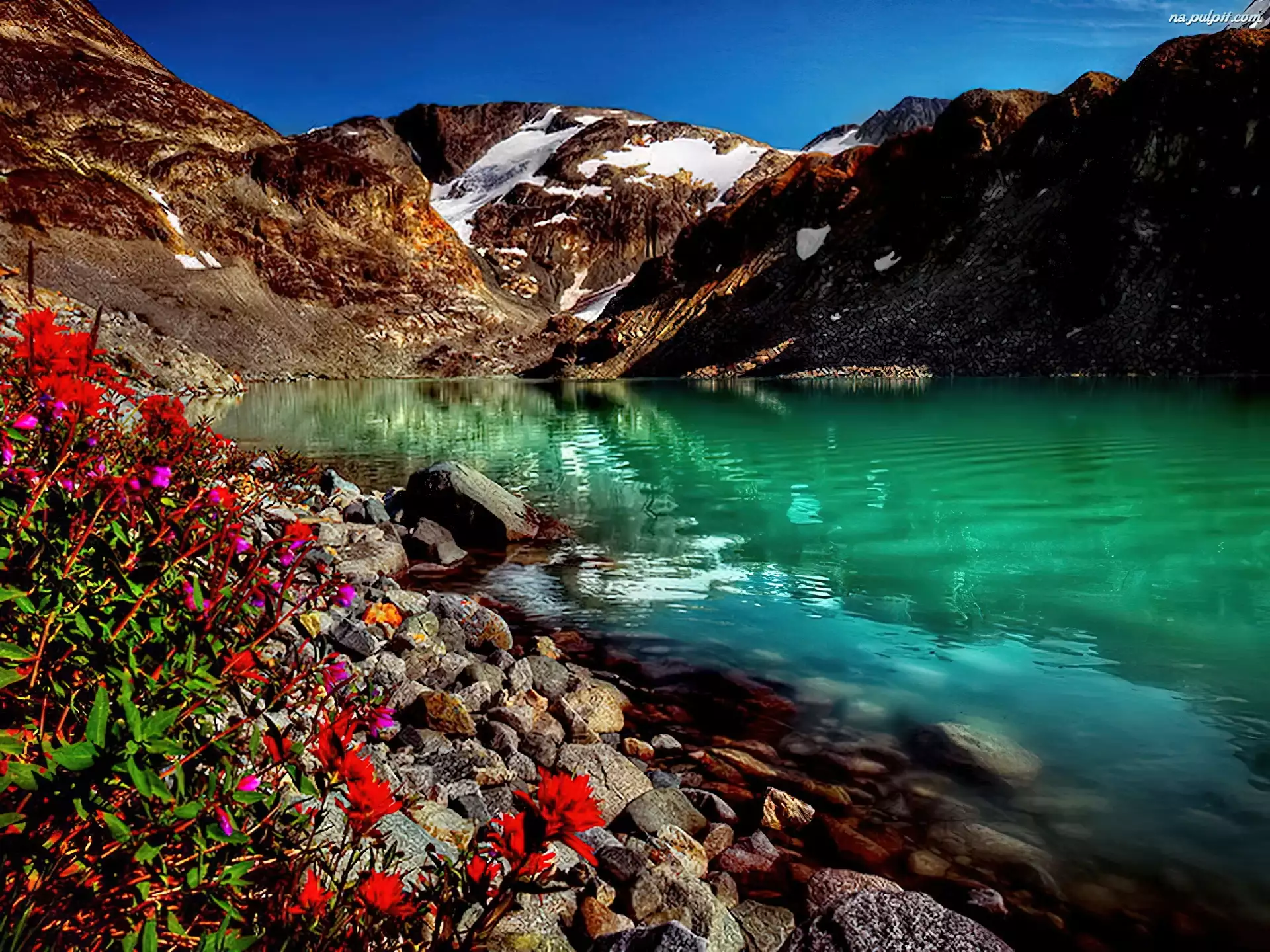 Kwiaty, Góry, Jezioro