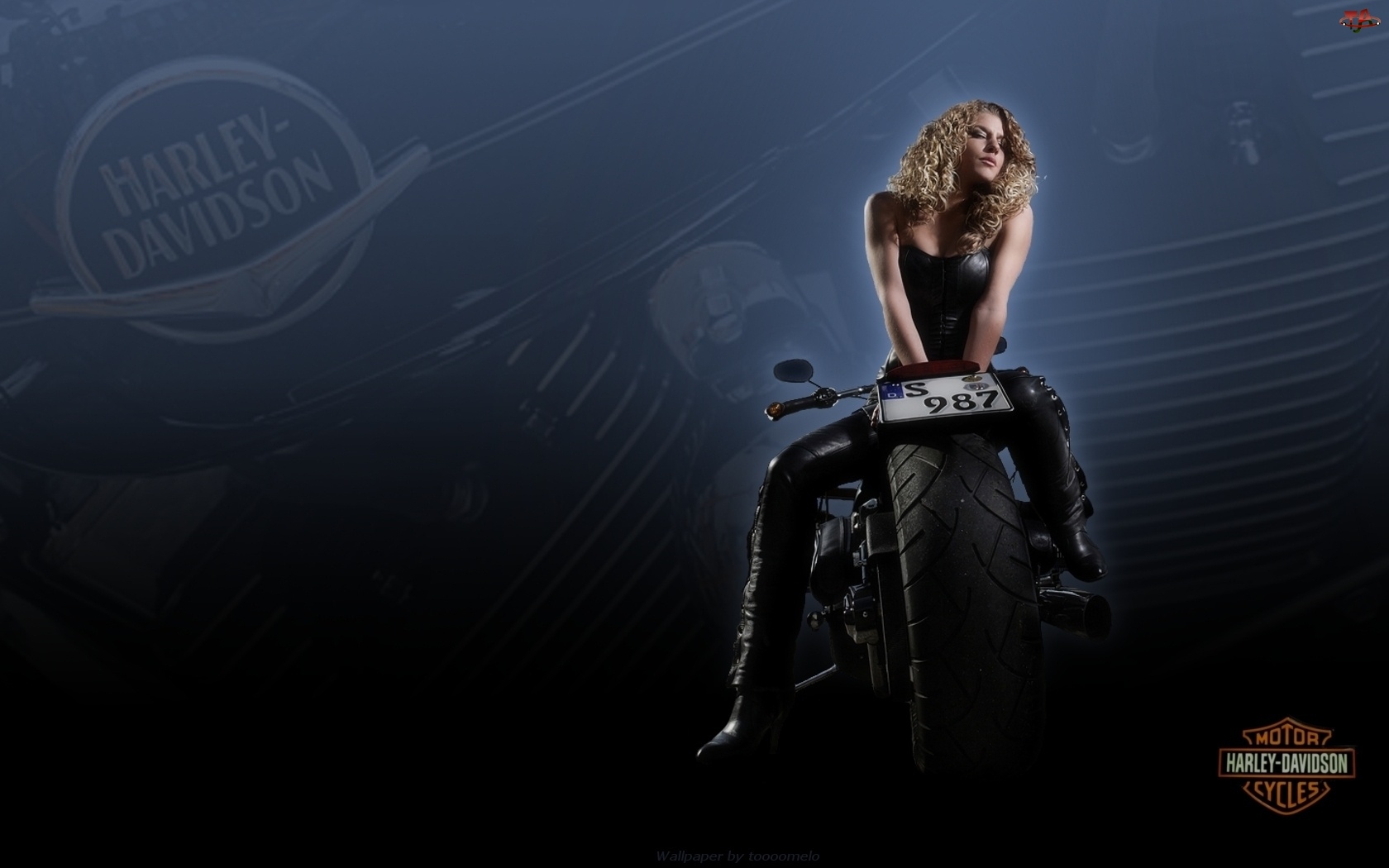 Blondynka, Motor, Harley-Davidson, Piękna