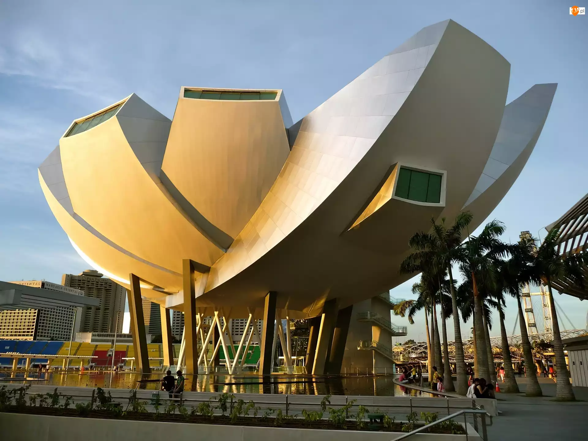 Muzeum, Fontanna, Singapur, Palmy