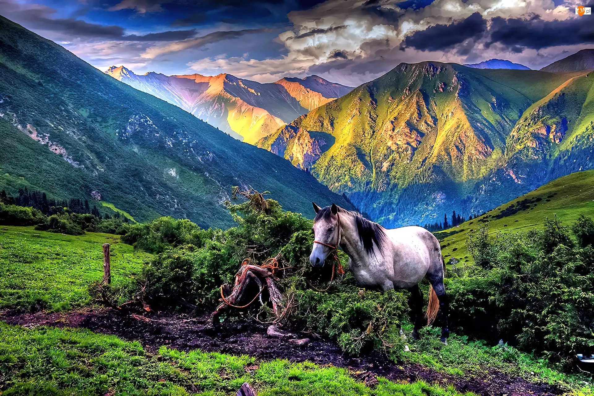 Koń, Góry, Chmury