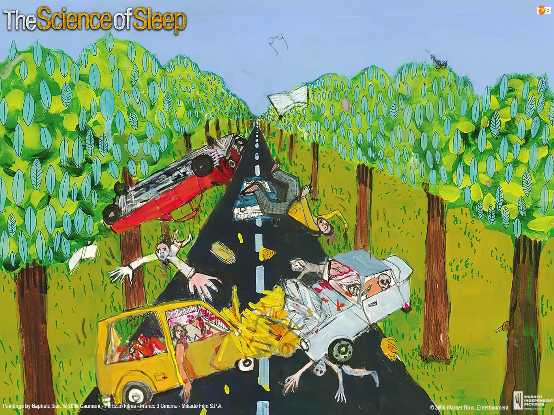 wypadek, The Science Of Sleep, ulica, drzewa, kraksa, ofiary