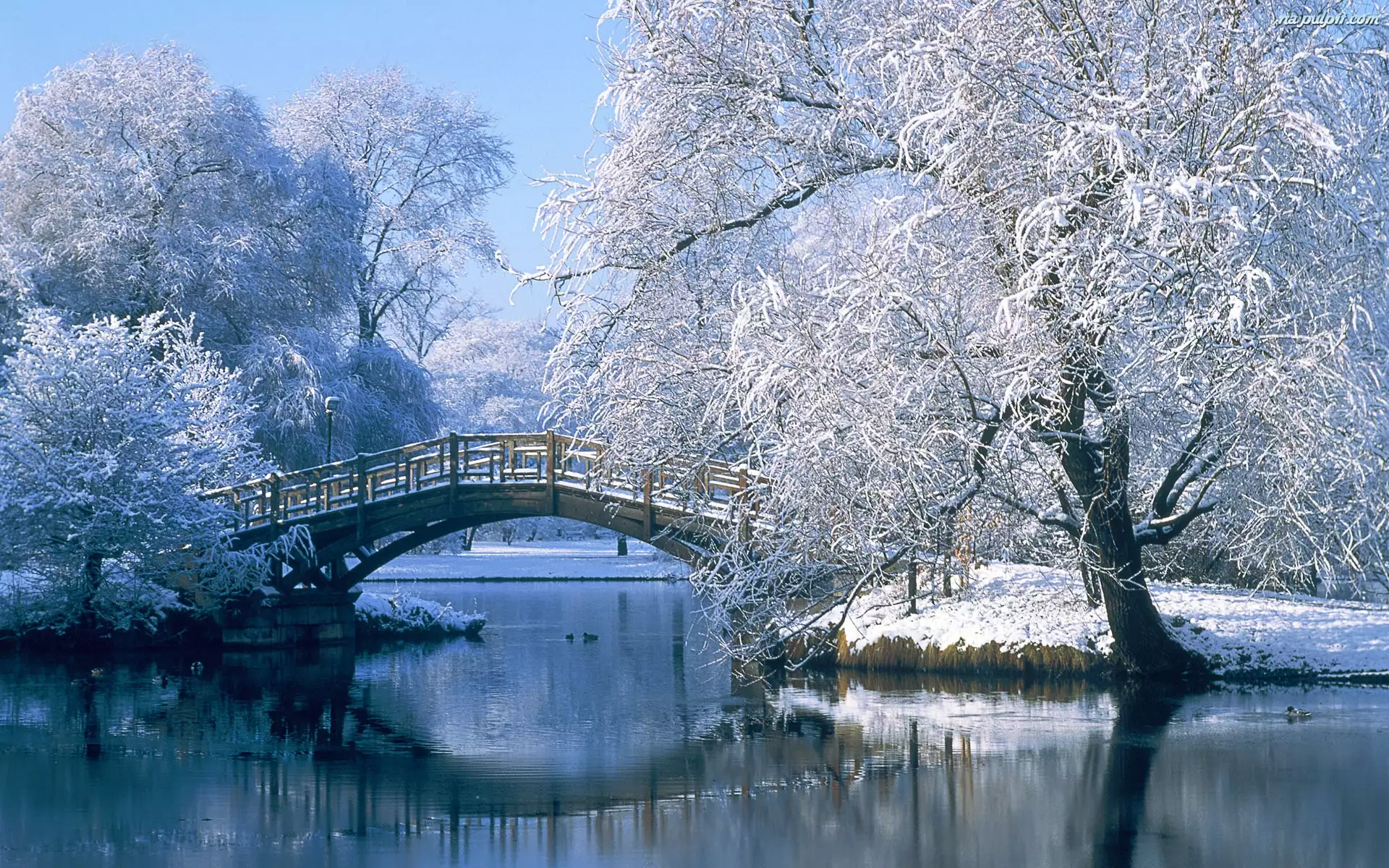 Rzeka, Zima, Most, Drzewa