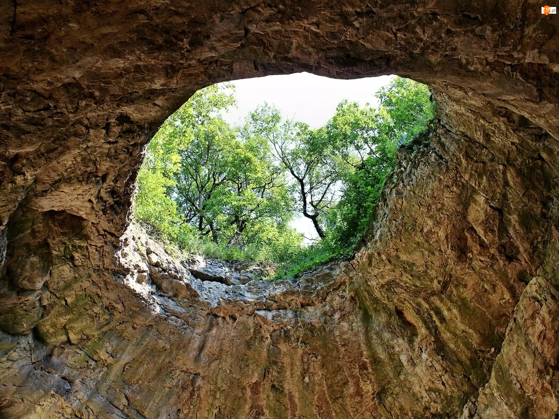 Drzewa, Jaskinia, Otwór