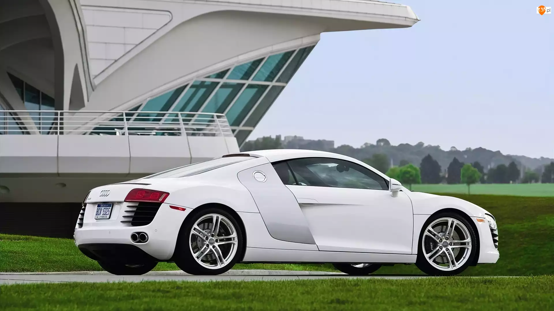 Białe, Sportowe, Audi R8, Auto