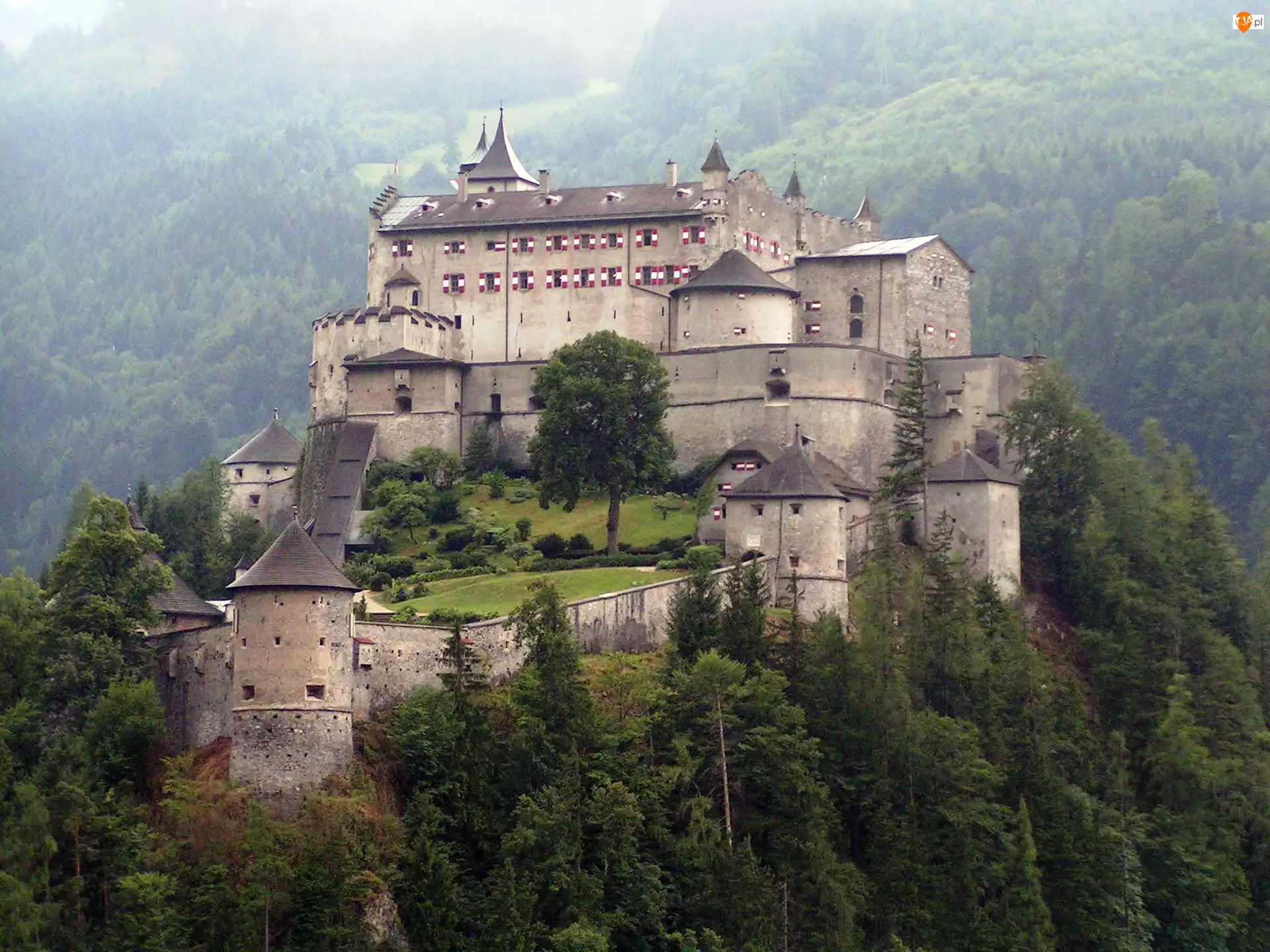 Austria, Góry, Hohenwerfen, Zamek, Zalesione