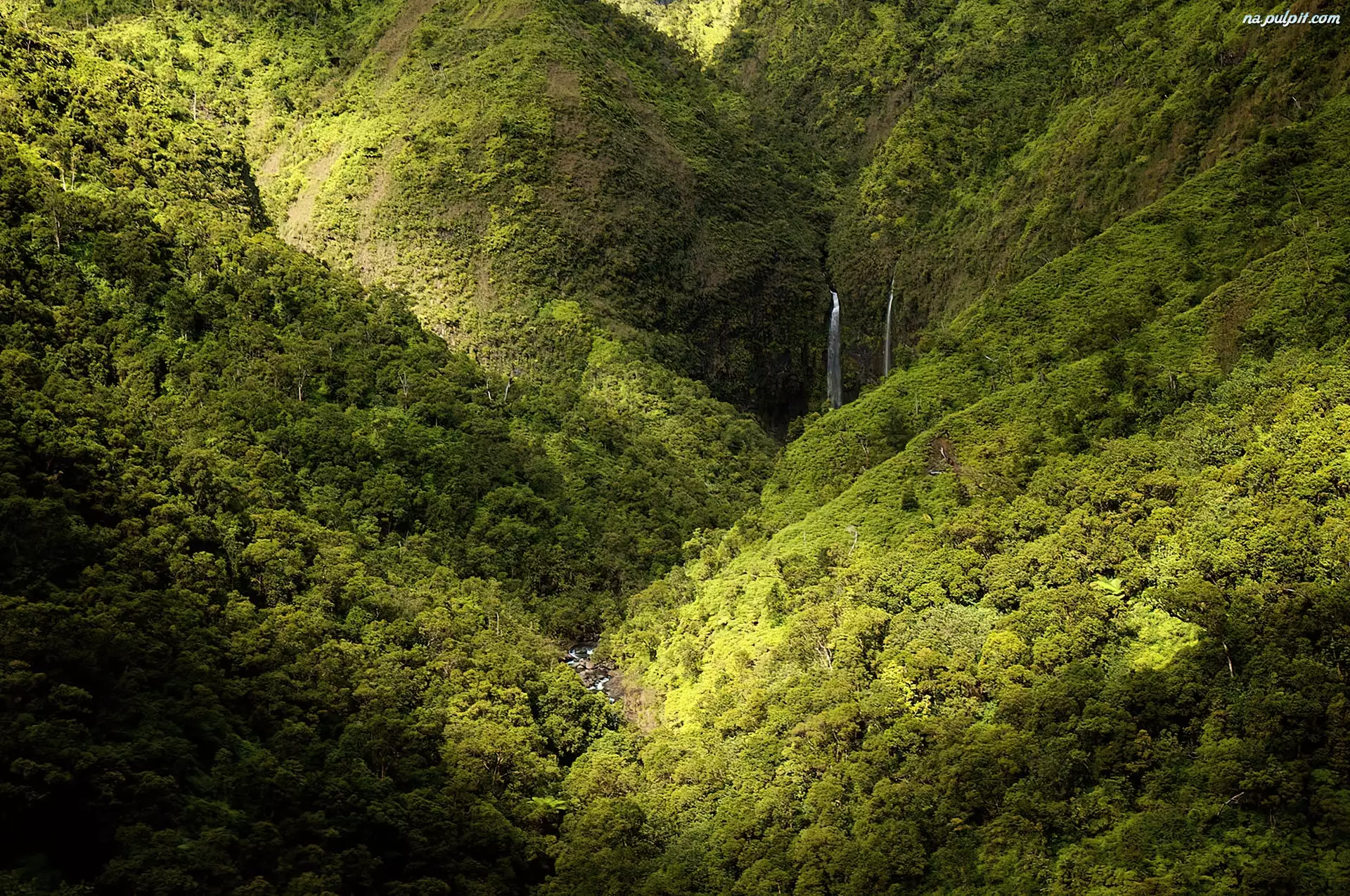 Las, Hawaje, Góry, Wodospad, Kauai