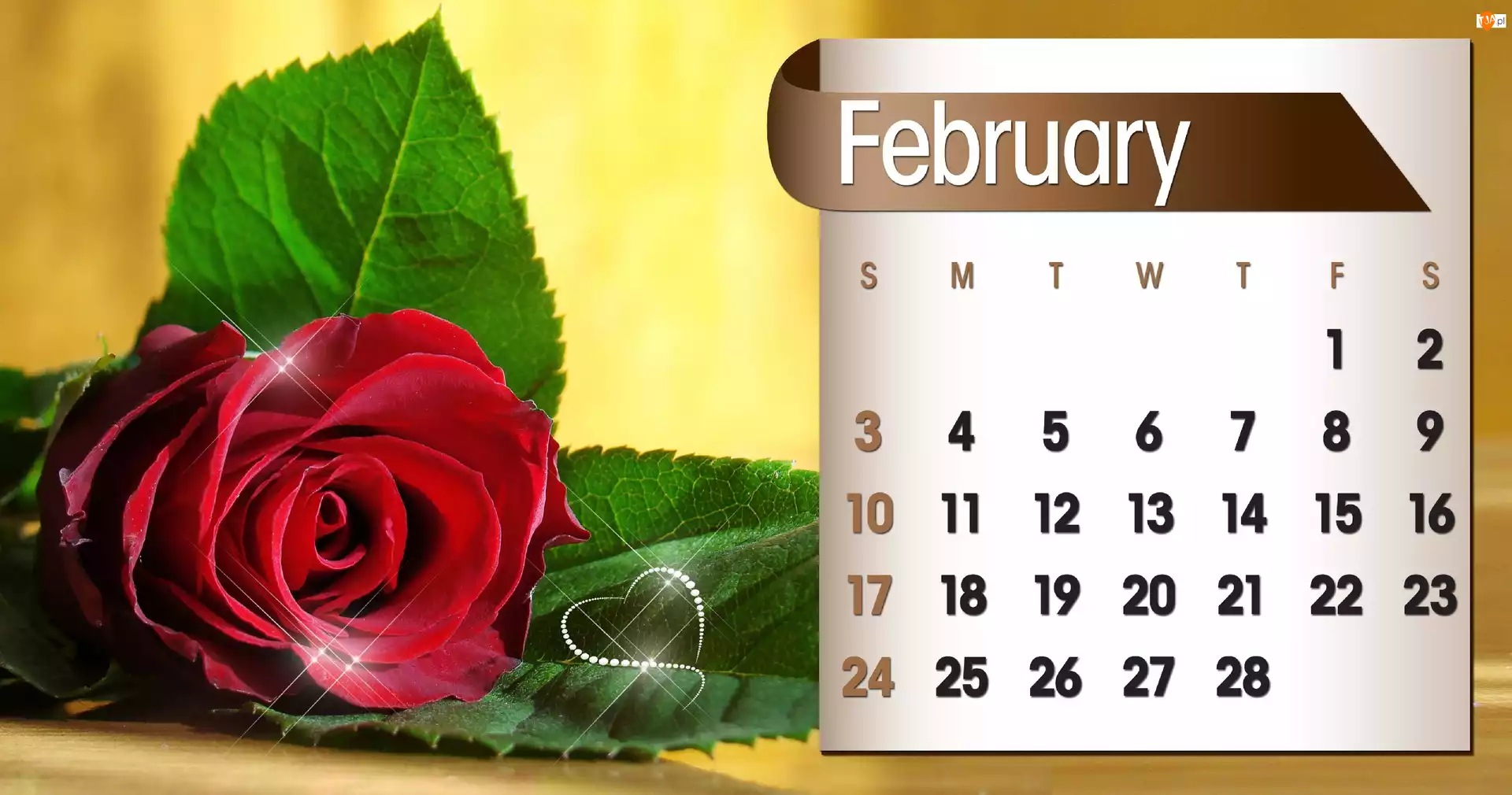 2013r, Kalendarz, Róża, Luty