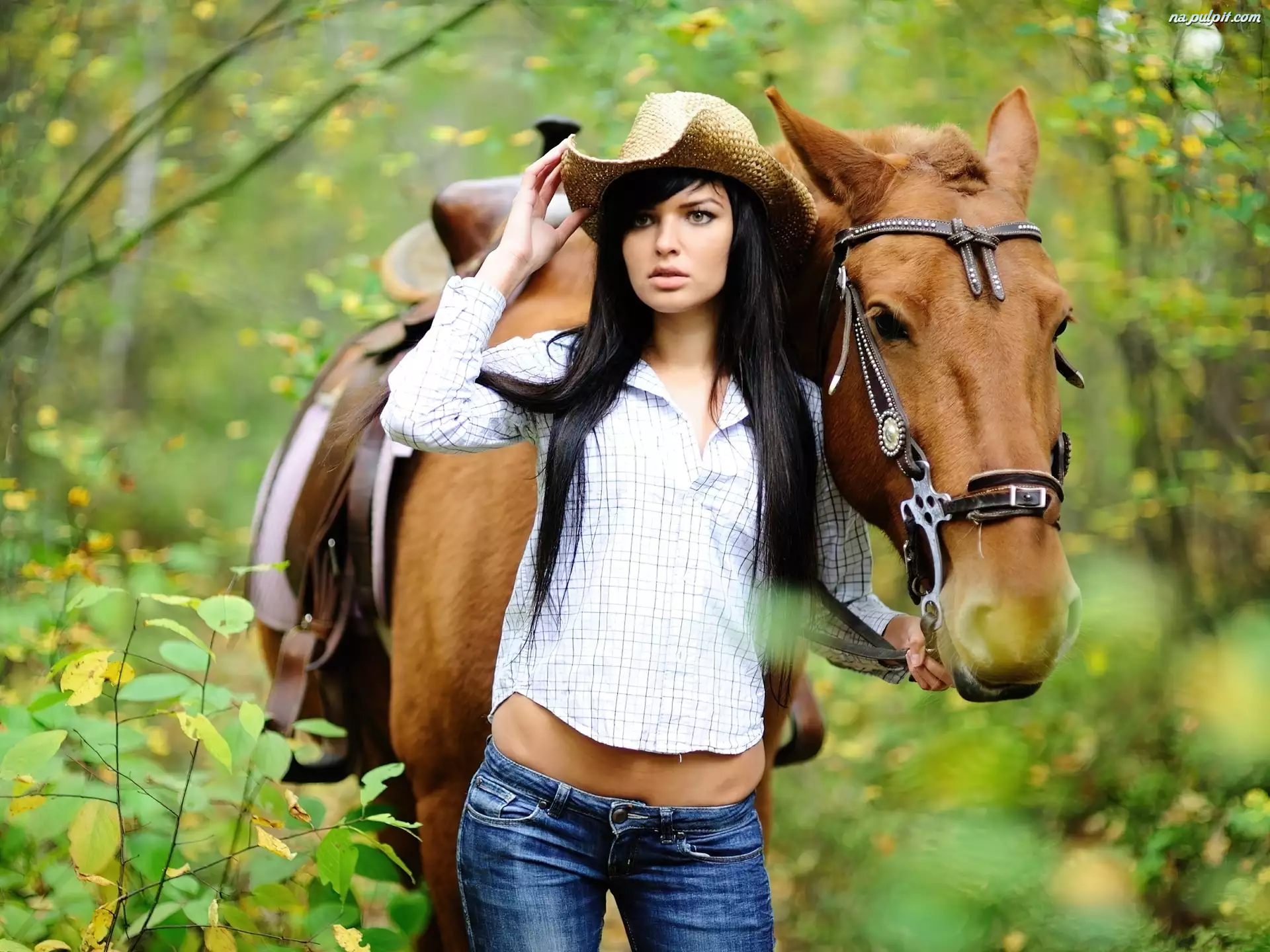 Девки и лошади. Девушка с лошадью. Девушка на коне. Девочка на лошади. Конные прогулки и красивые девушки.