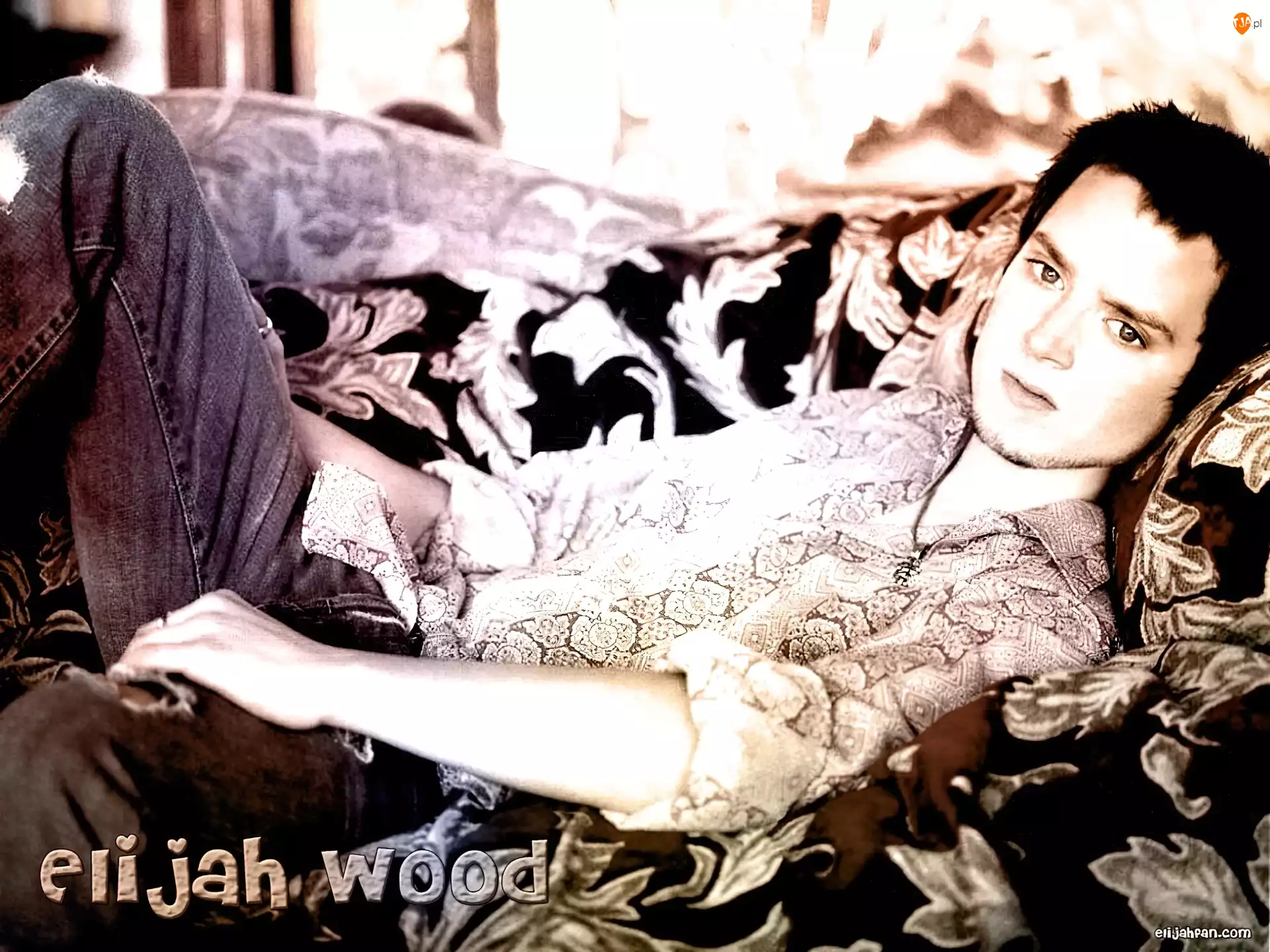 jeansy, Elijah Wood, koszula