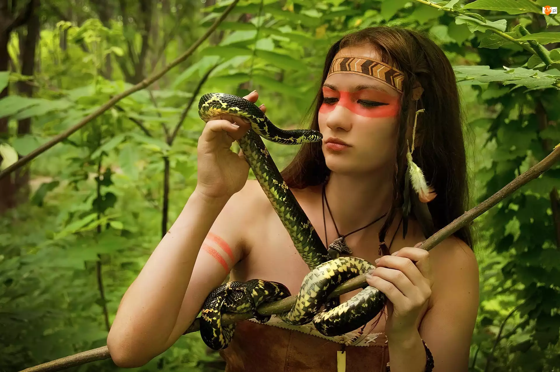 Las, Dziewczyna, Wąż