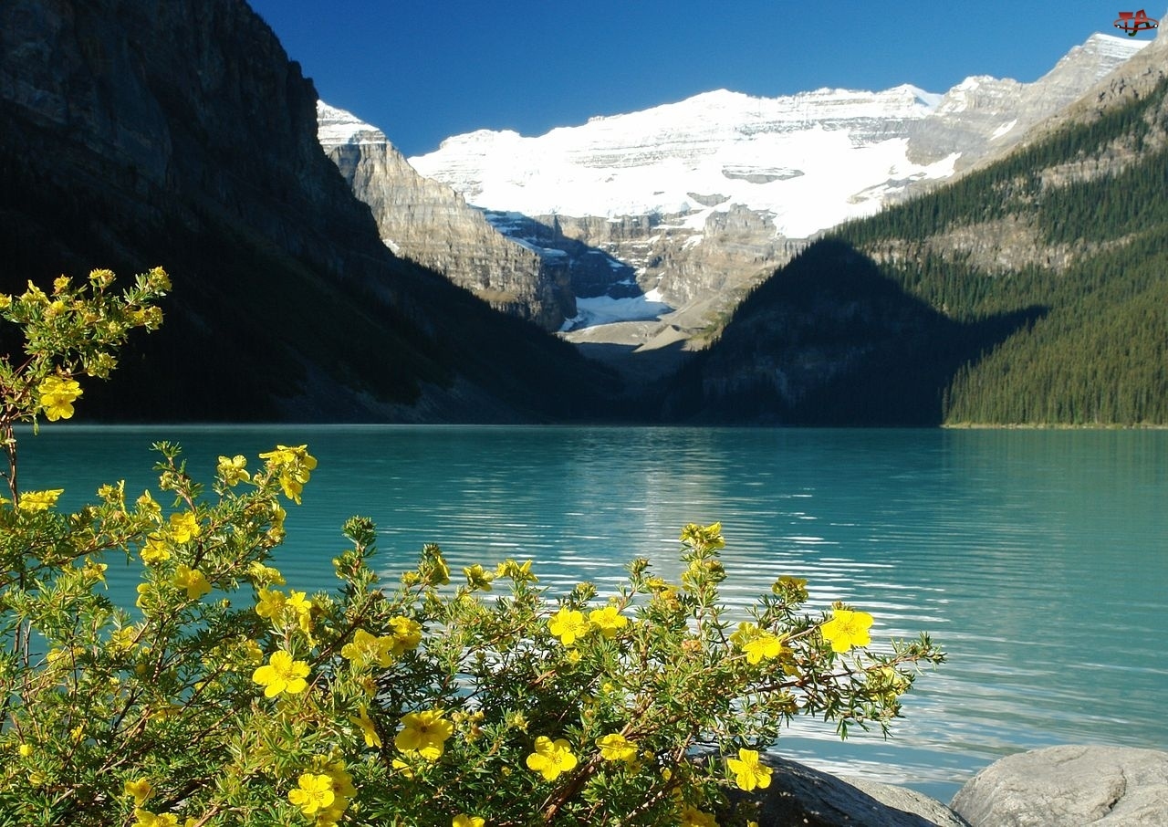 Kwiaty, Kanada, Jezioro Louise, Góry