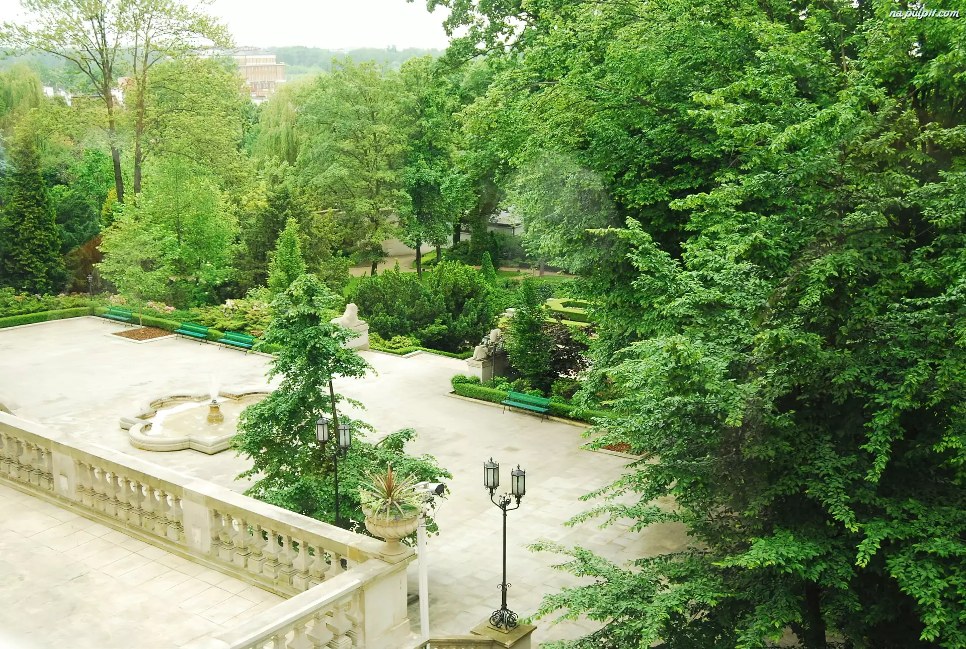 Ogród, Fontanna, Prezydencki, Drzewa
